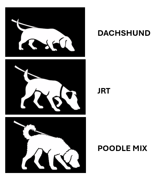 Silhouettes_2.png