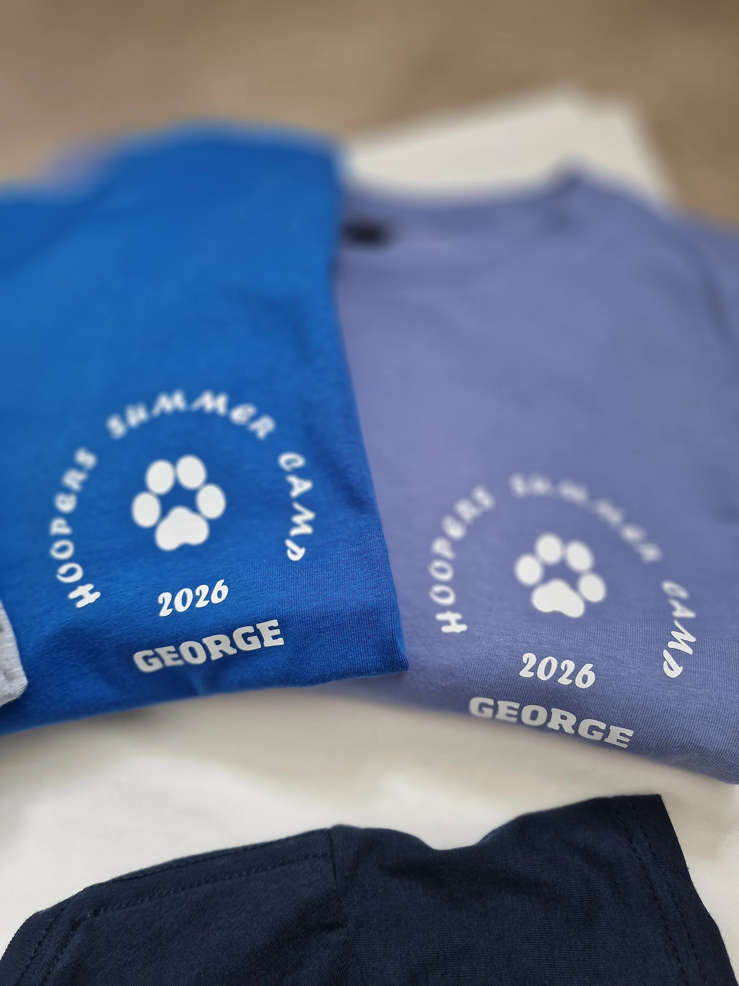 Blue and purple fabric wristbands with a white paw print logo and text 'Hops for a Cause 2026 George'.
