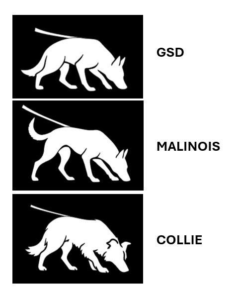 Silhouettes_1.png