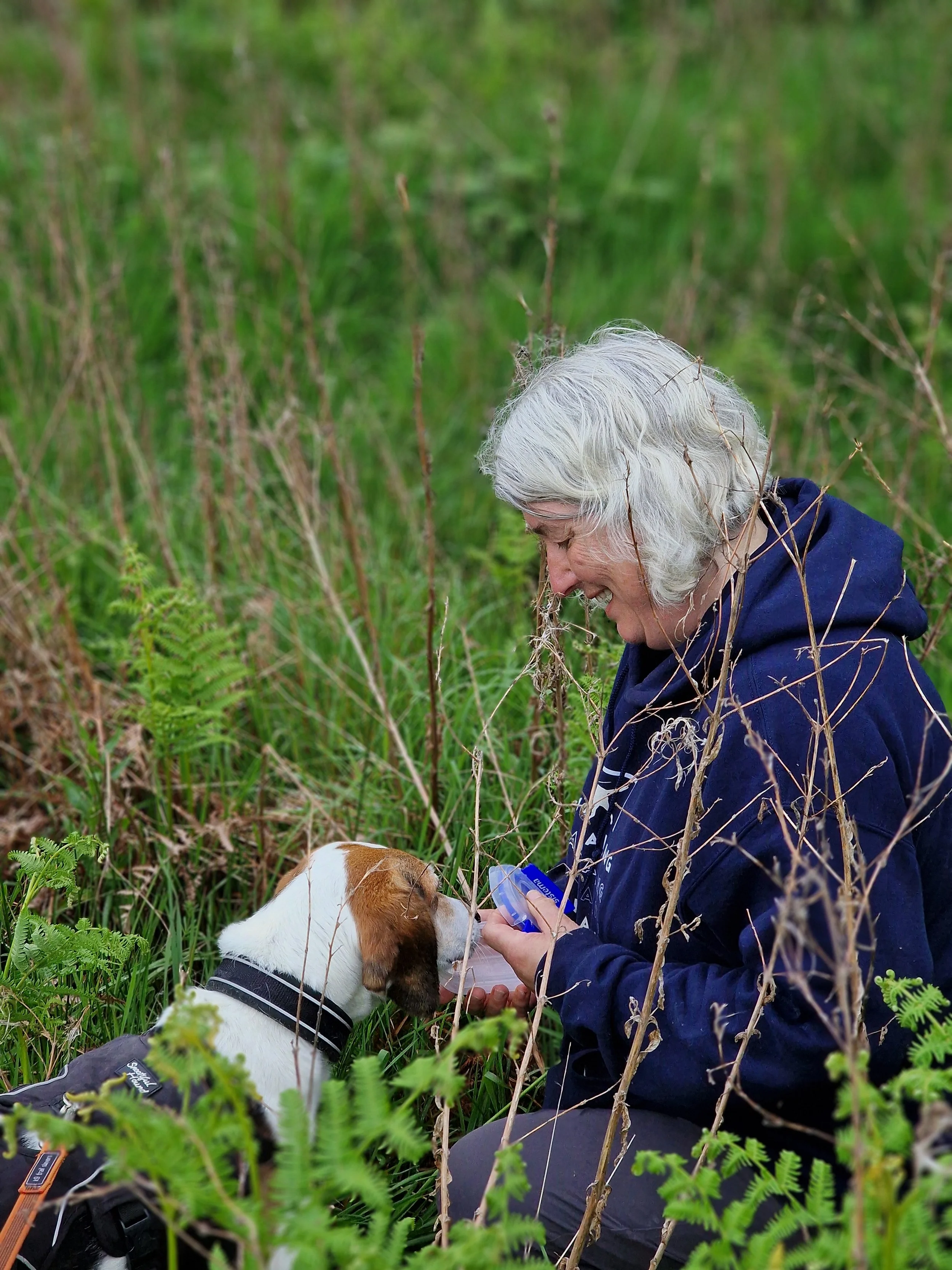 An elderly woman with gray hair kneeling in a lush green outdoor setting, giving medication to a small dog with brown and white fur. The woman is smiling and the dog appears calm.