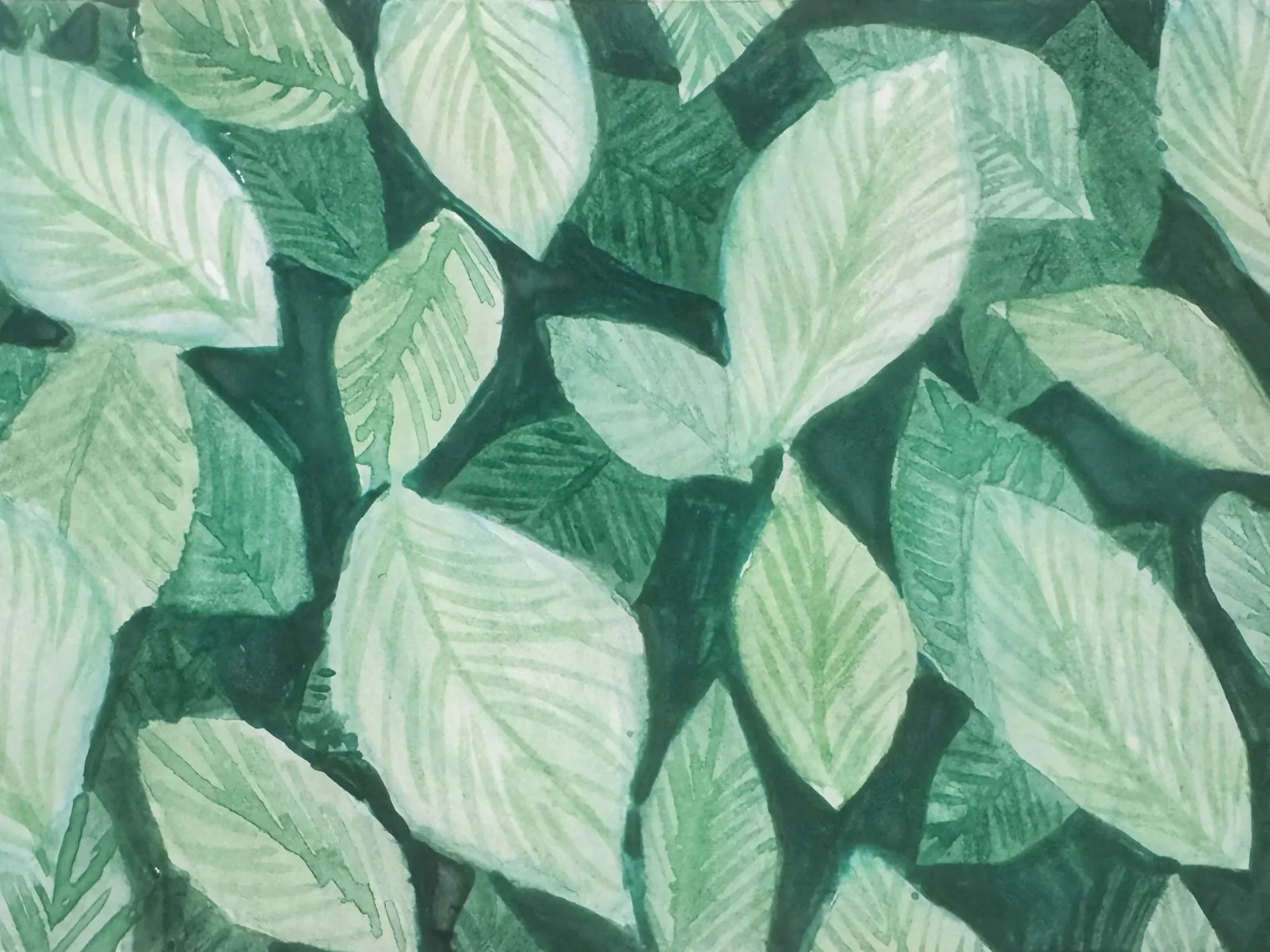 leaves.jpg