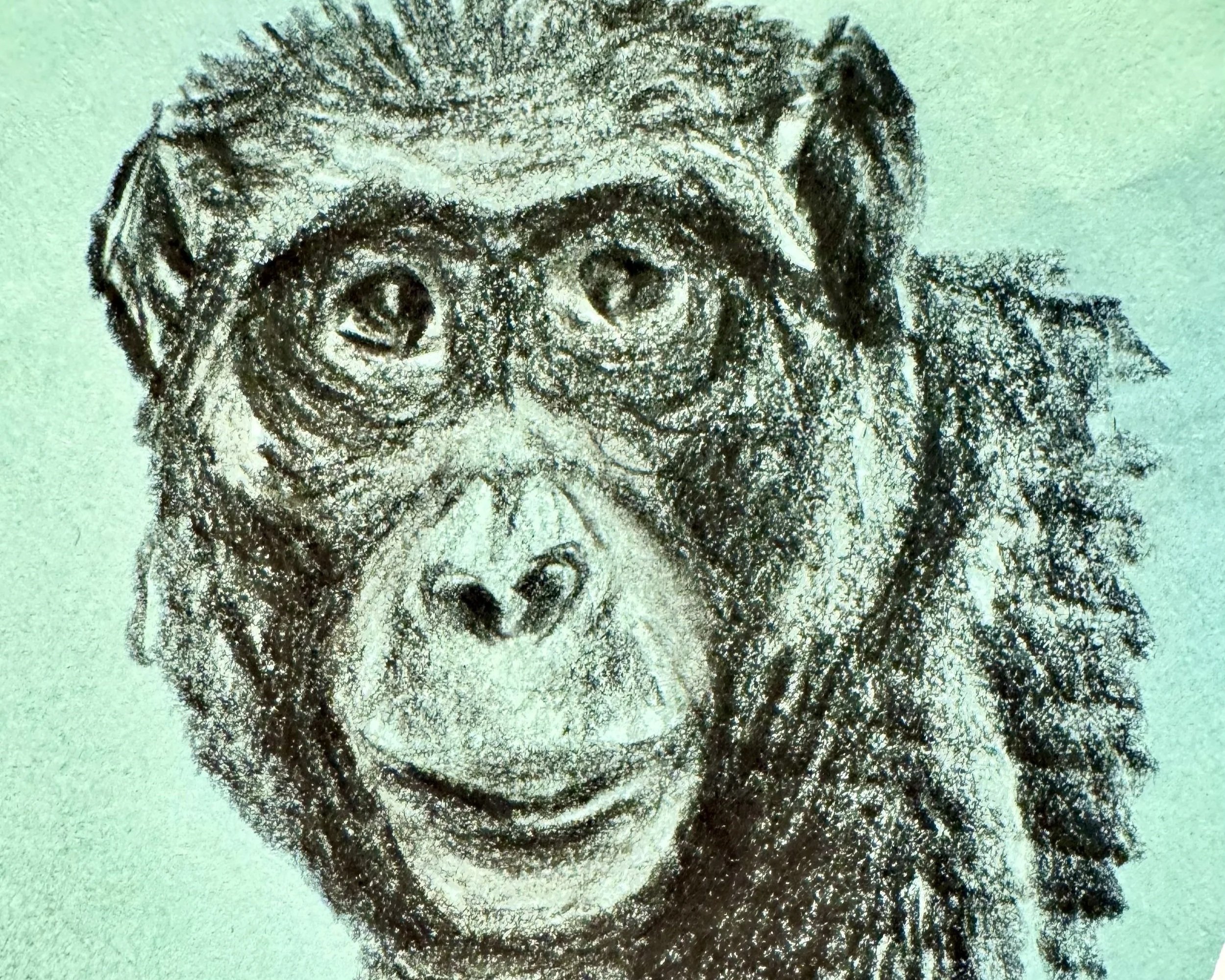 pencil+study.jpg