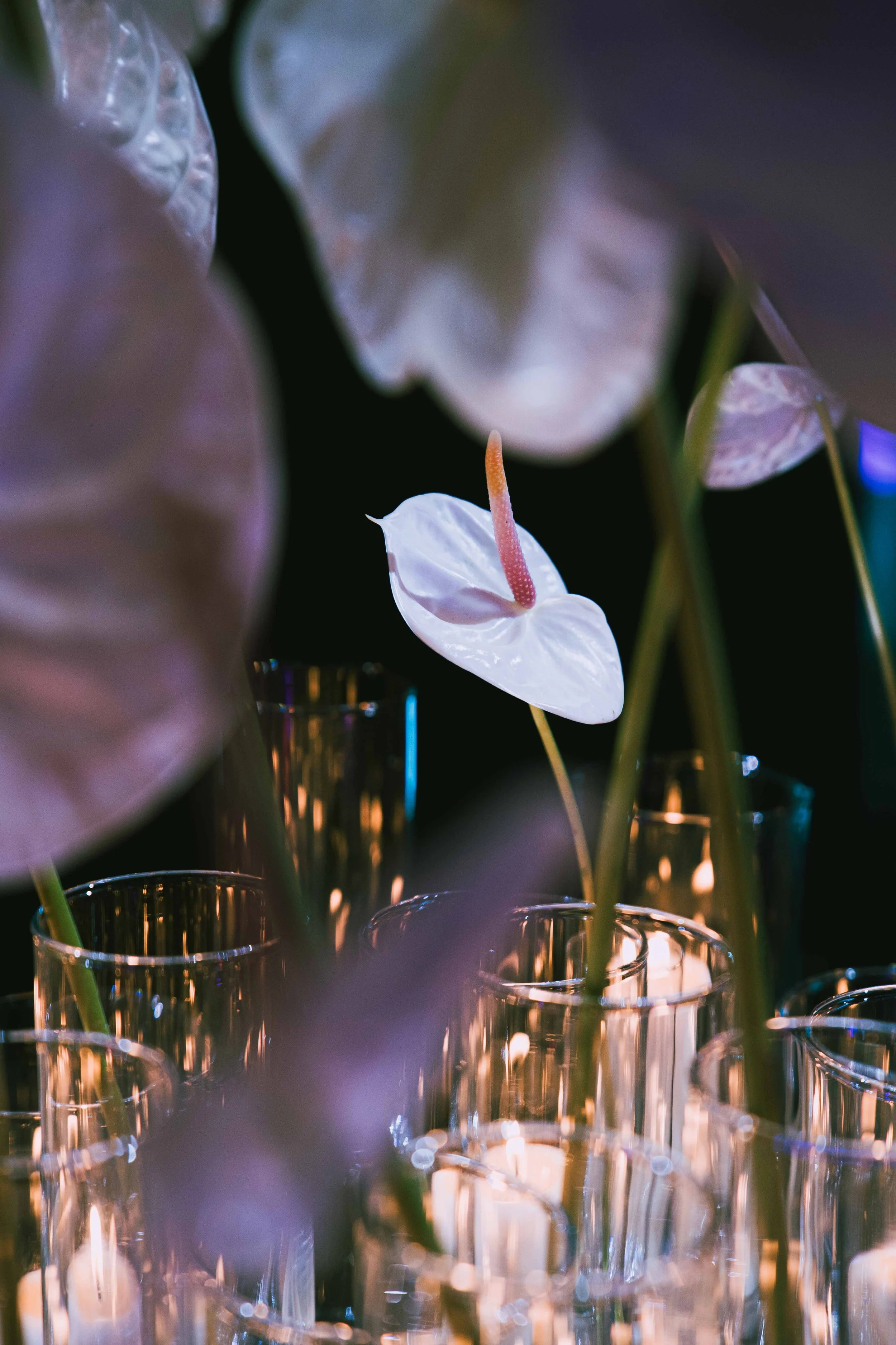 57_Evento_Papo_s Party_ Sarapolievents_2024.jpg