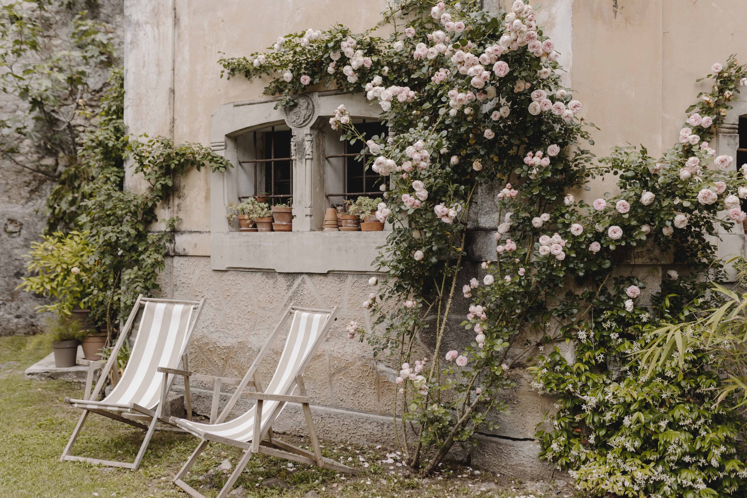 A garden scene with pink roses climbing on a wall, a small window with potted plants, and white striped deck chairs on green grass.