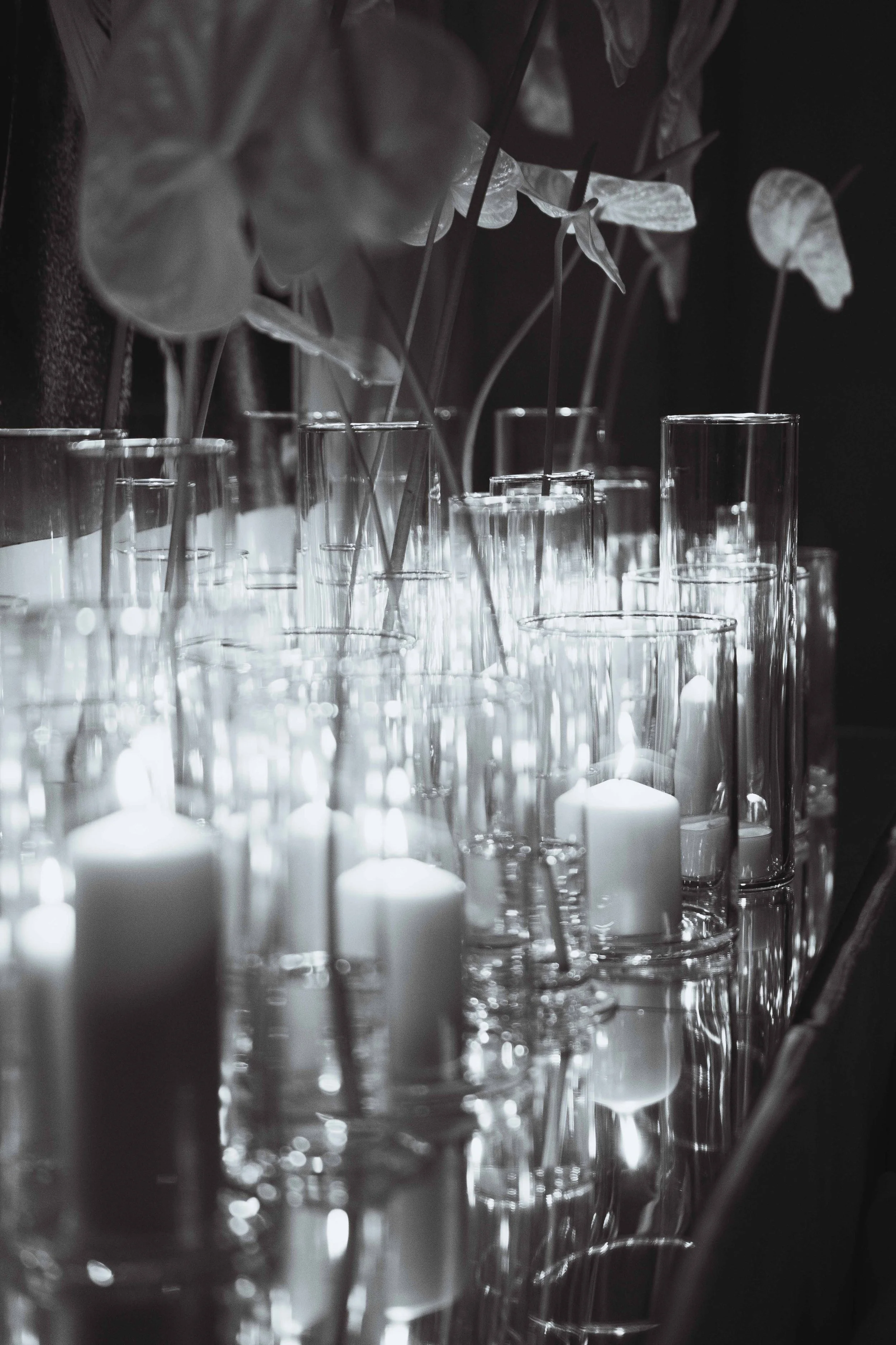 01_Evento_Papo_s Party_ Sarapolievents_2024.jpg