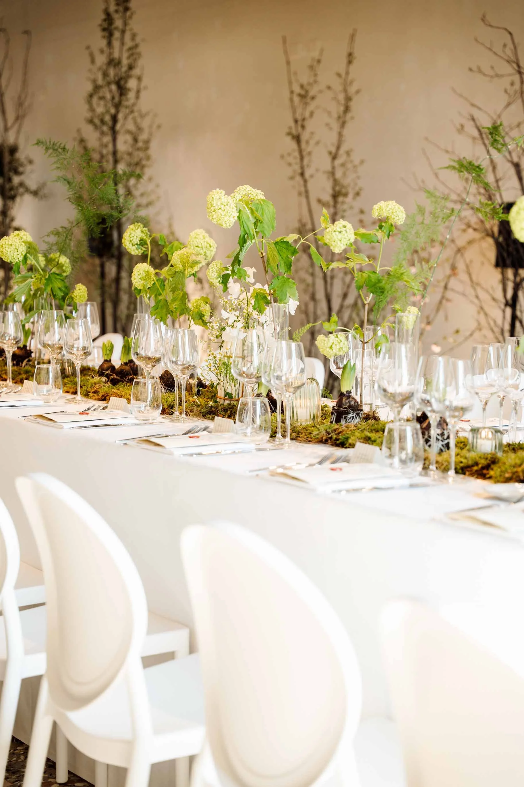 87_Prima_asparago_filtro_2_Sarapolievents_2026.jpg