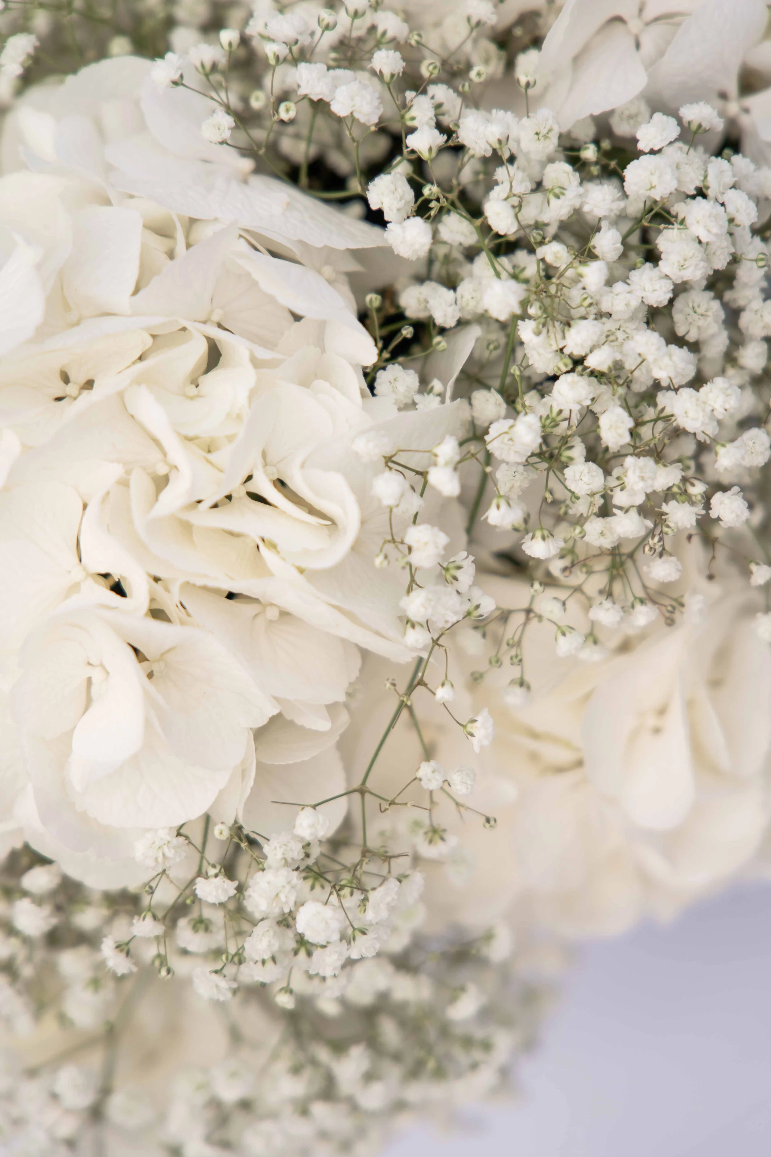 30_Matrimonio_Petra&Piero_Sarapolievents_2024.jpg