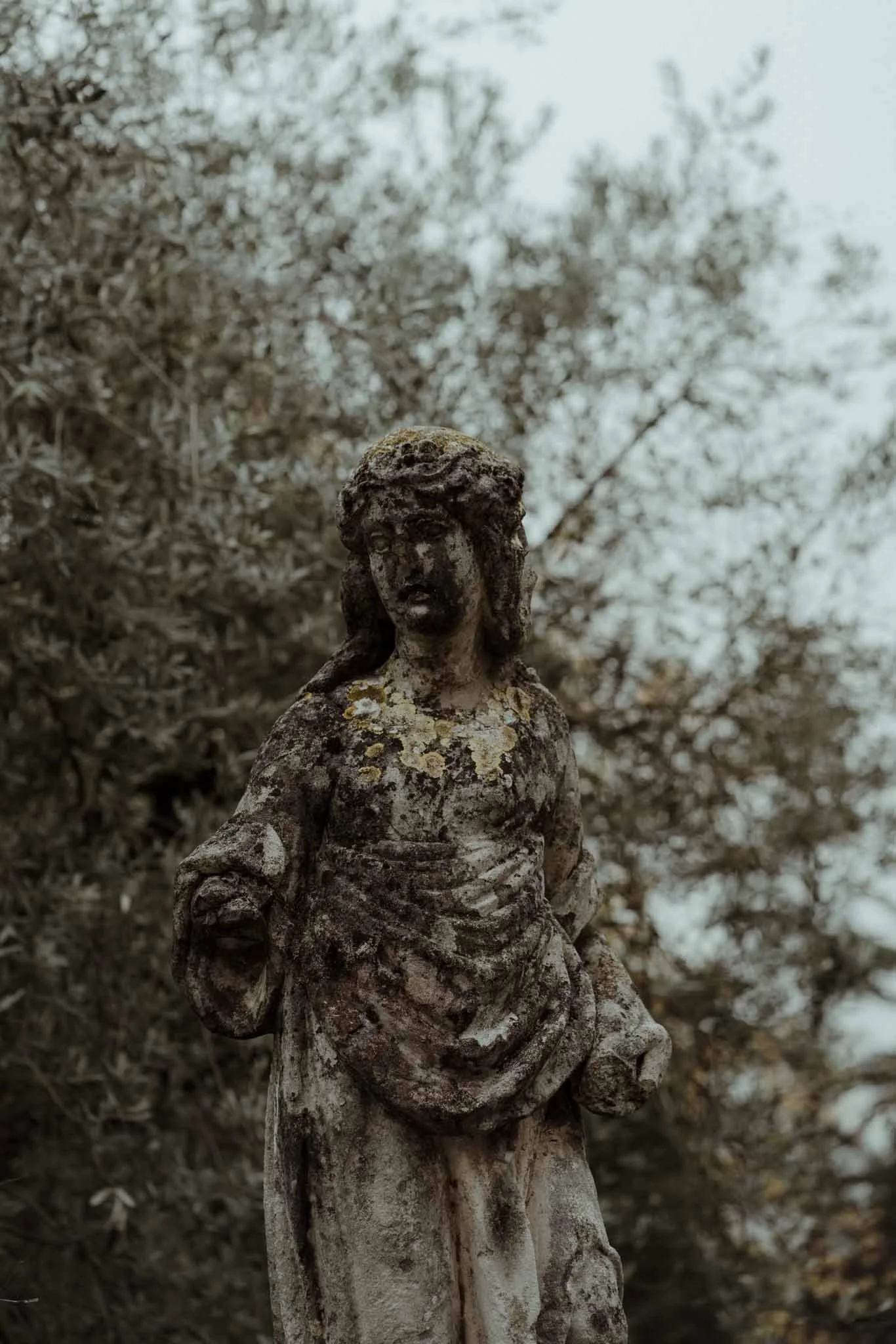A weathered stone statue of a woman with a solemn expression, set against a blurred background of leafless trees.