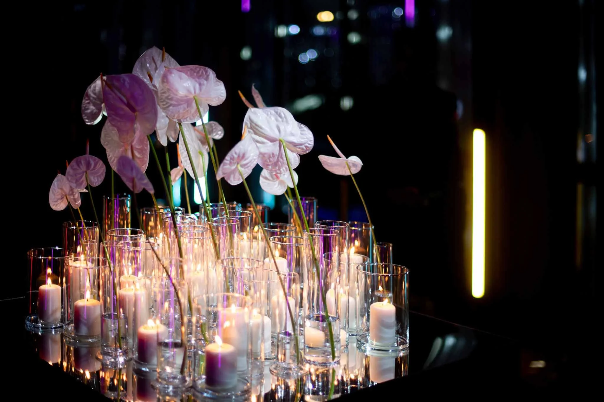 Studio 54