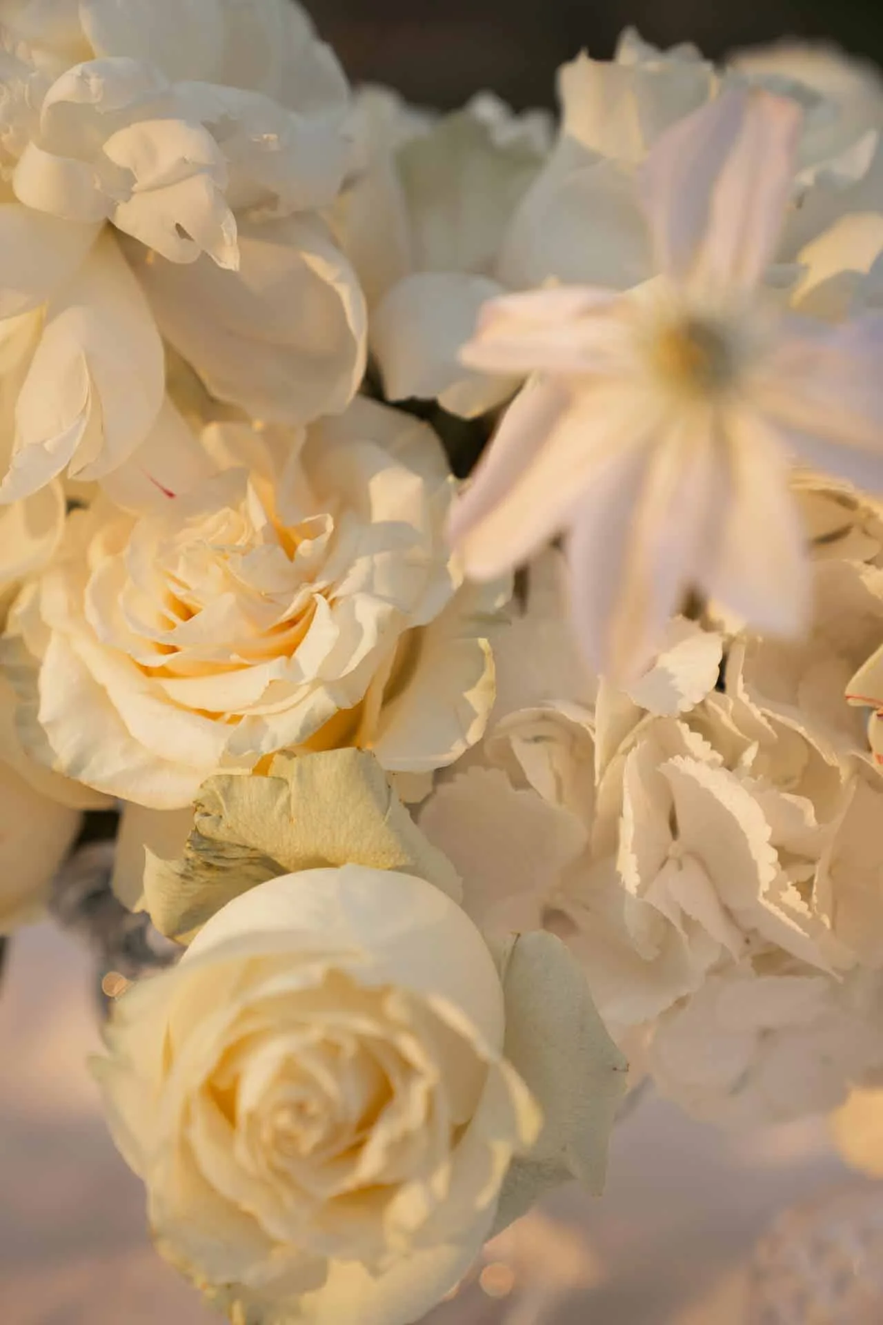 71_Matrimonio_Tatiana&Davide_Sarapolievents_2026.jpg