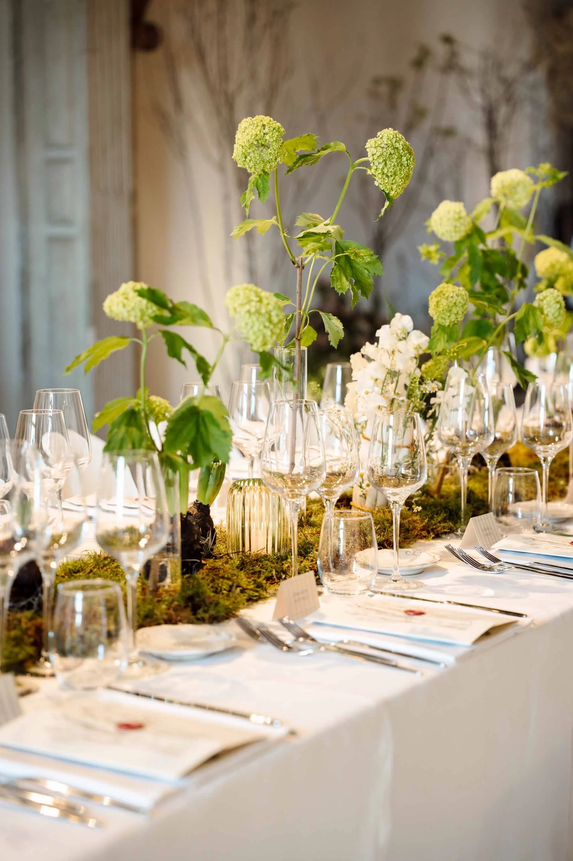 107_Prima_asparago_filtro_2_Sarapolievents_2026.jpg