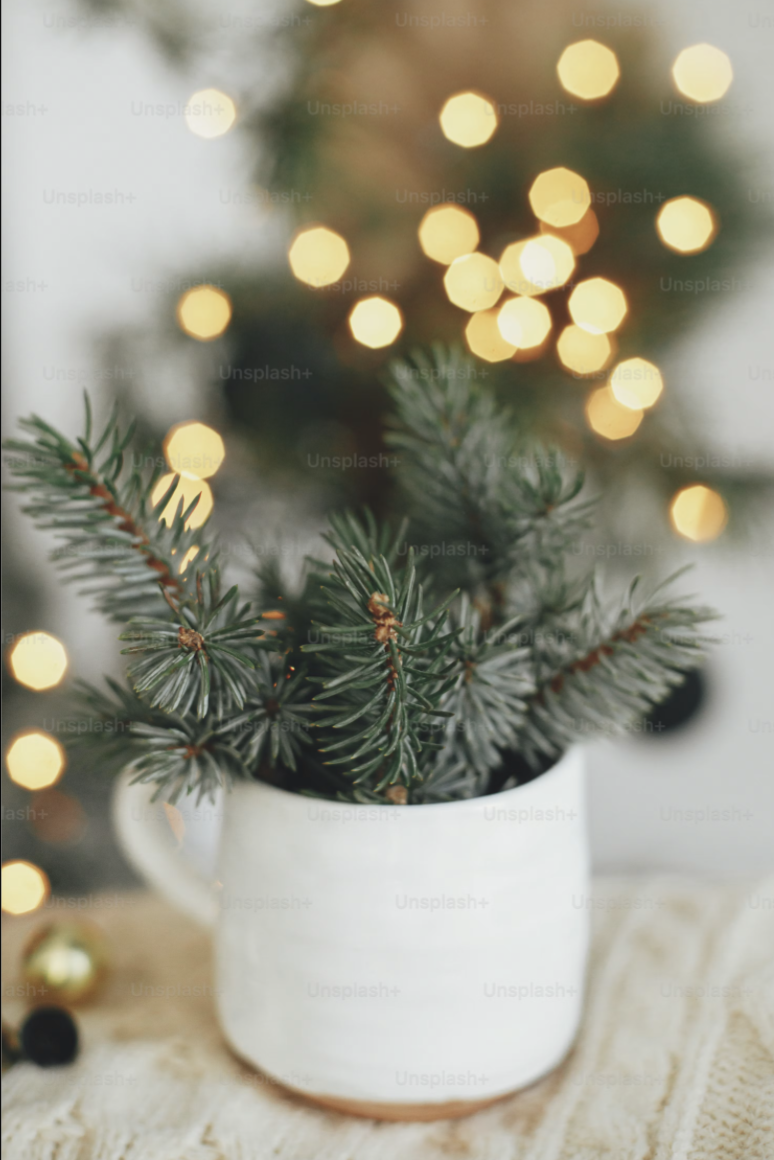 Potted Christmas tree with green needles in a white mug, blurred yellow holiday lights in the background, on a cozy beige cloth.