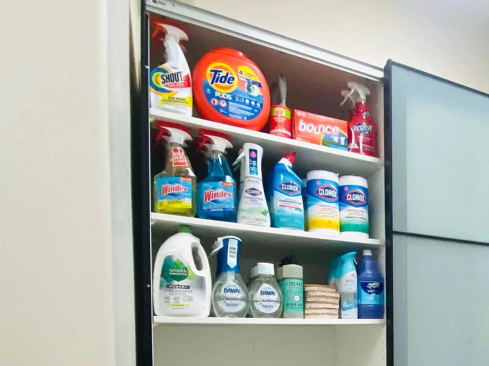 Deeply organized utility closet featuring a fully stocked selection of cleaning supplies, products, and household essentials in Park City, Utah.
