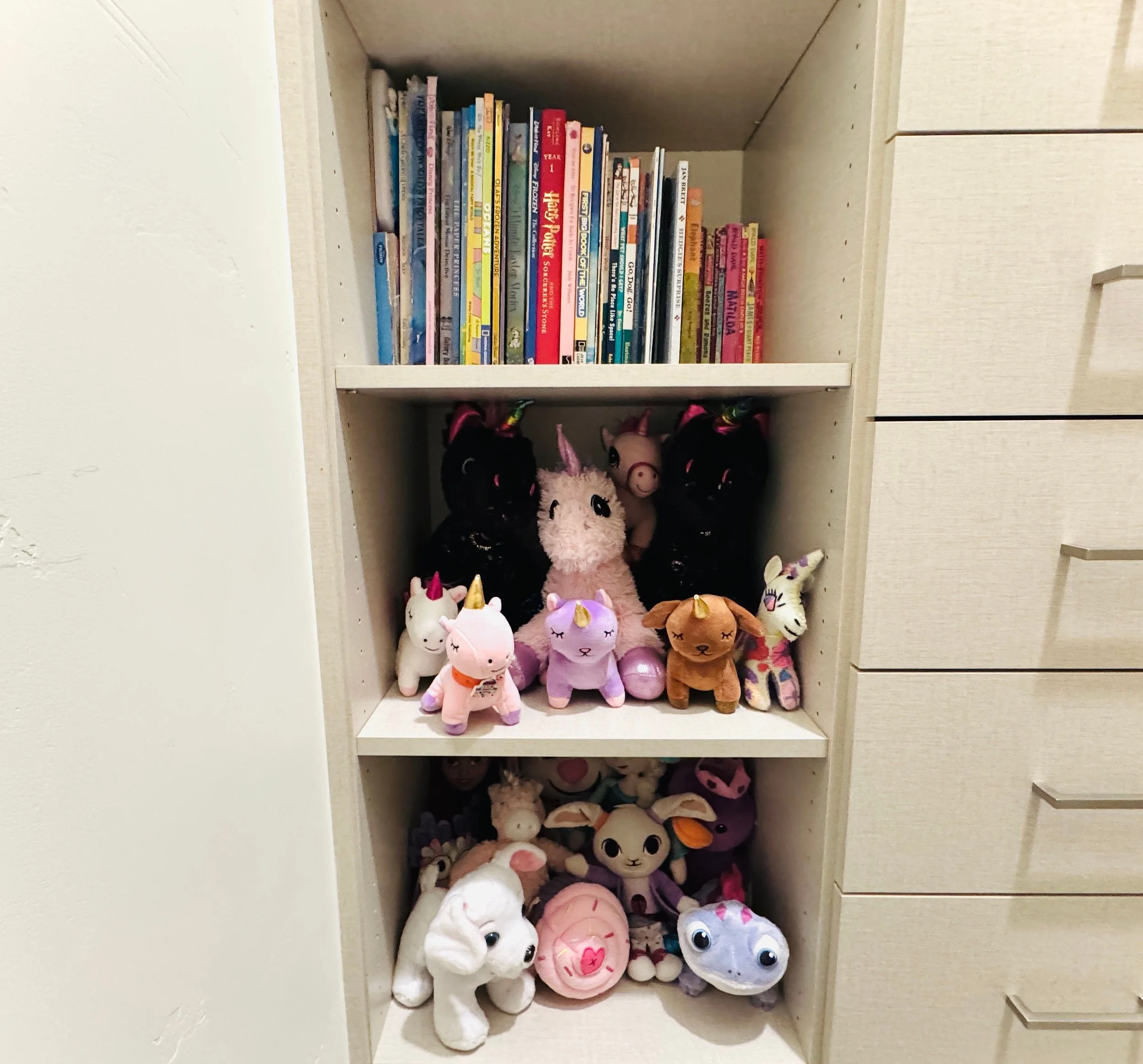 Girls' bedroom bookshelf organization for books and stuffed animals in Park City.