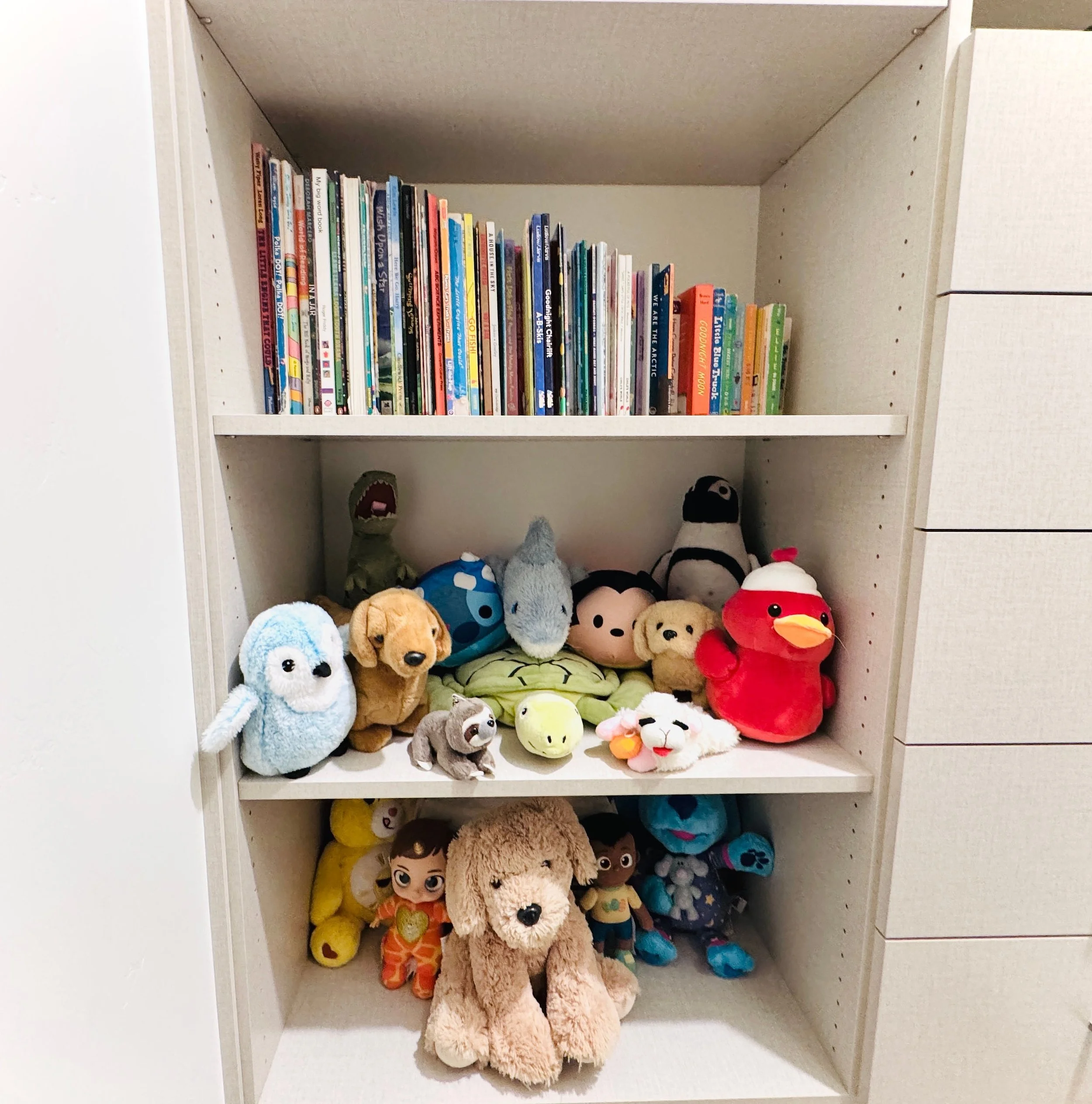 Neat and accessible boys' book and stuffed animal storage solutions in Park City, Utah.