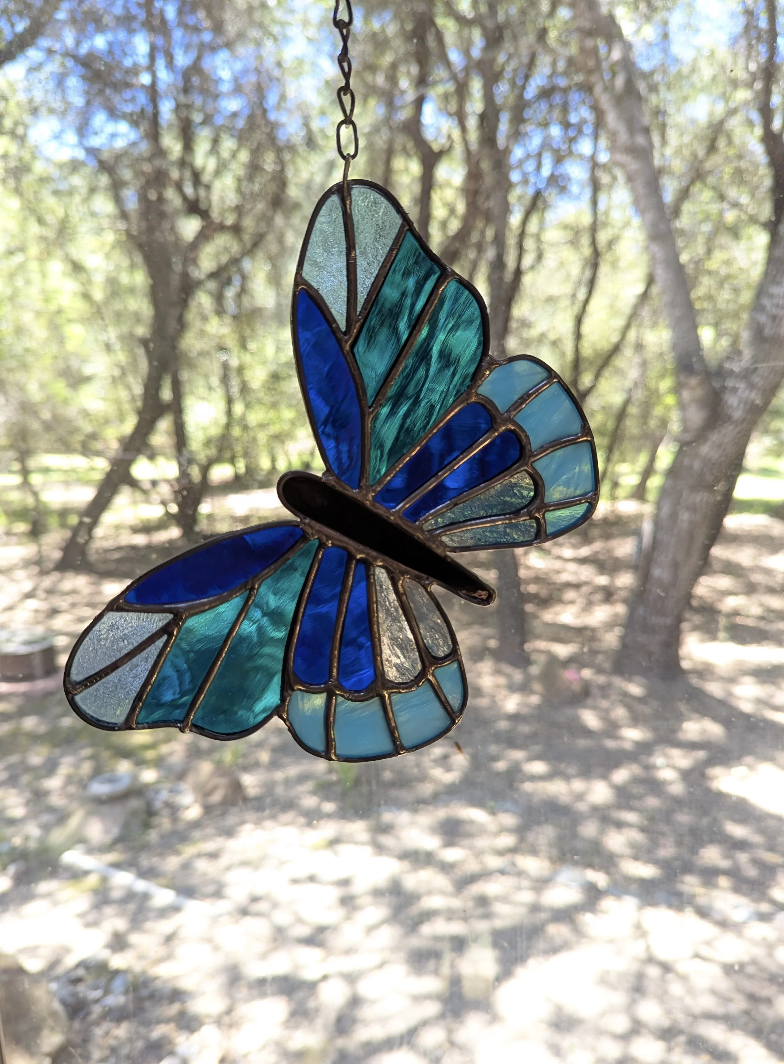 Blue Butterfly