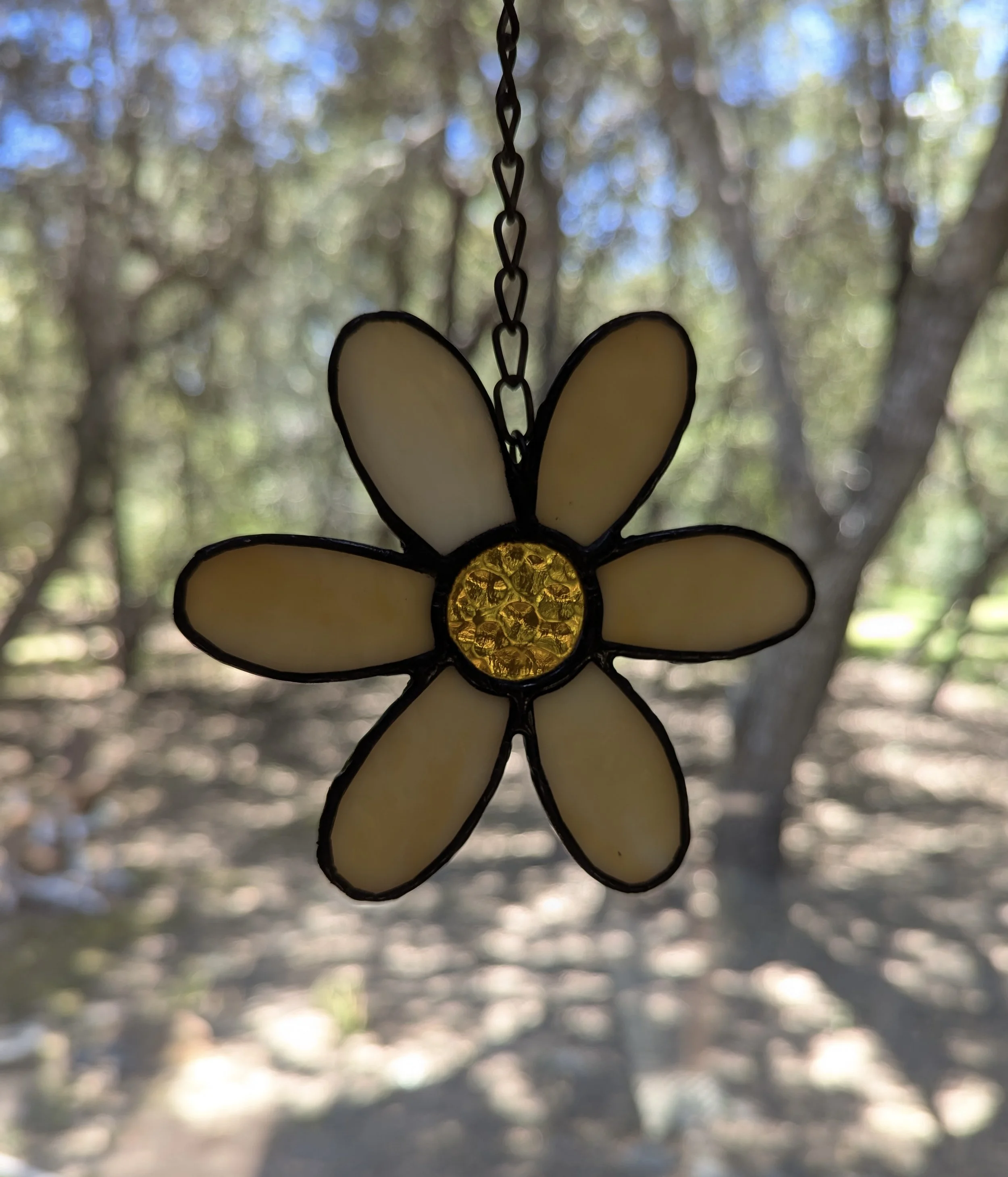 Yellow Daisy