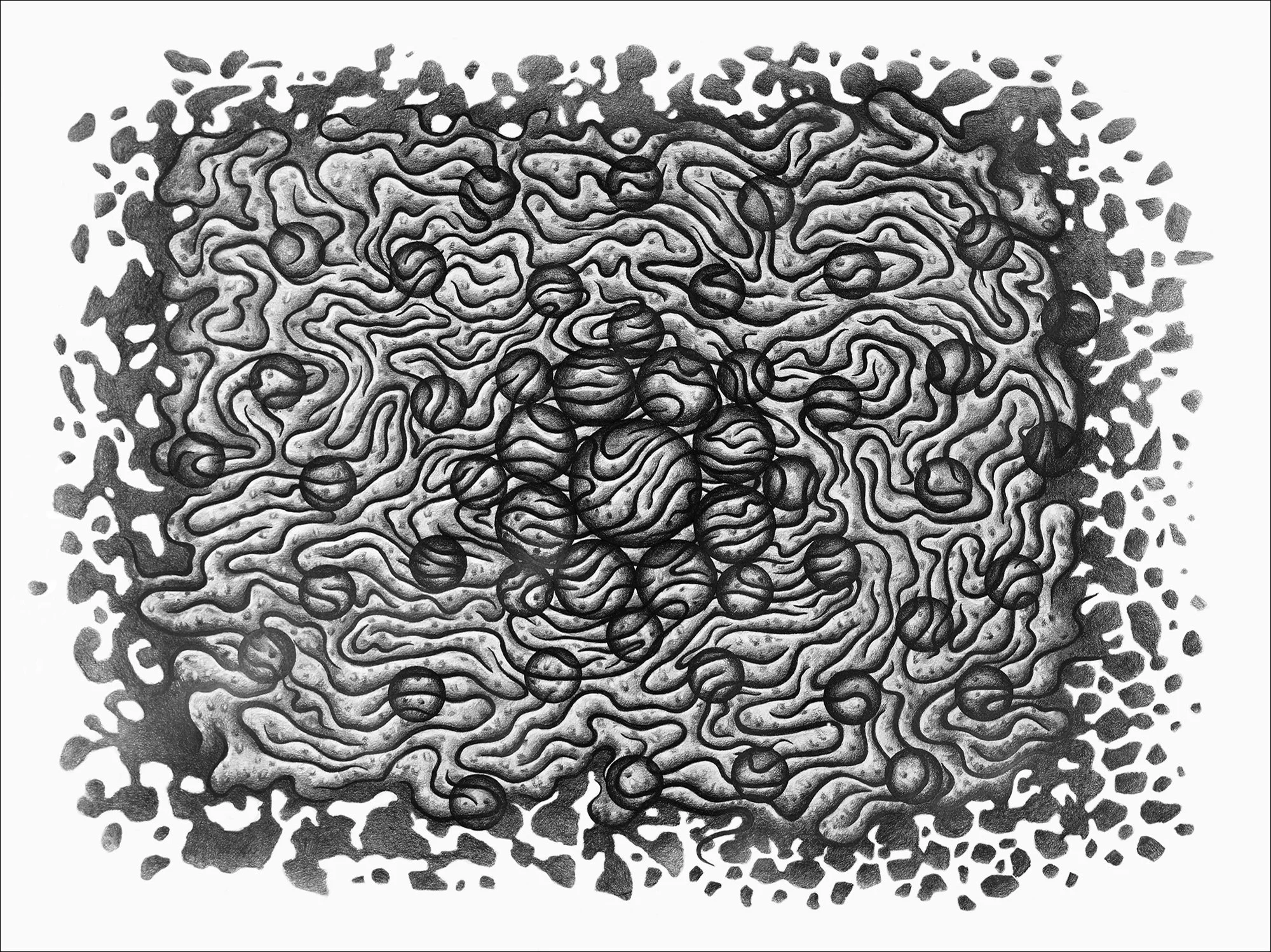 Oort Cloud 12, 2023, graphite on paper, 22"h x 30"w