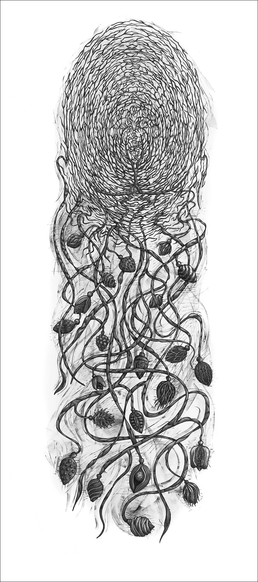 Genus 24, 2018, charcoal and pigment on paper, 72"h x 32"w
