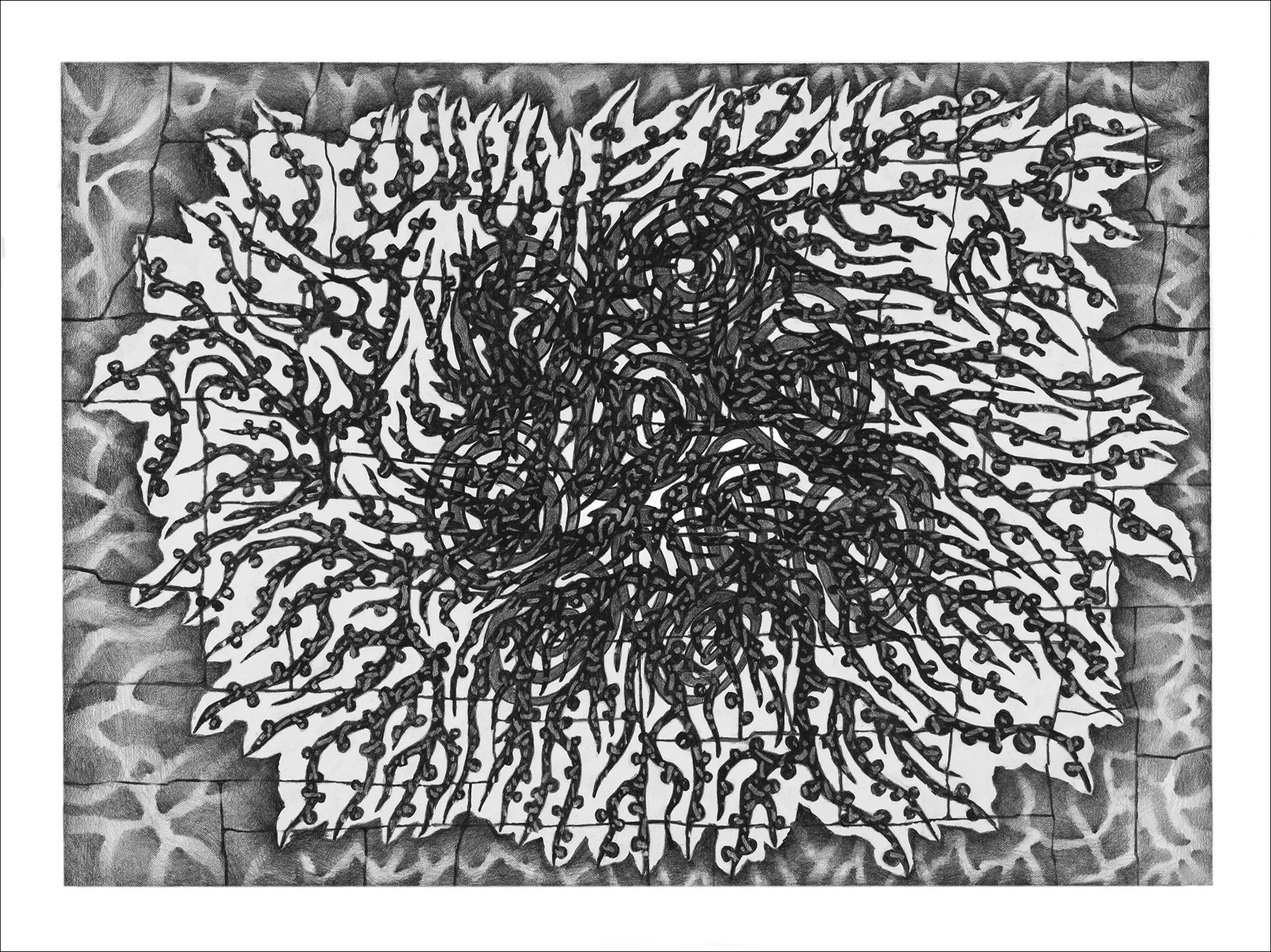 Oort Cloud 8, 2024, graphite on paper, 22"h x 30"w