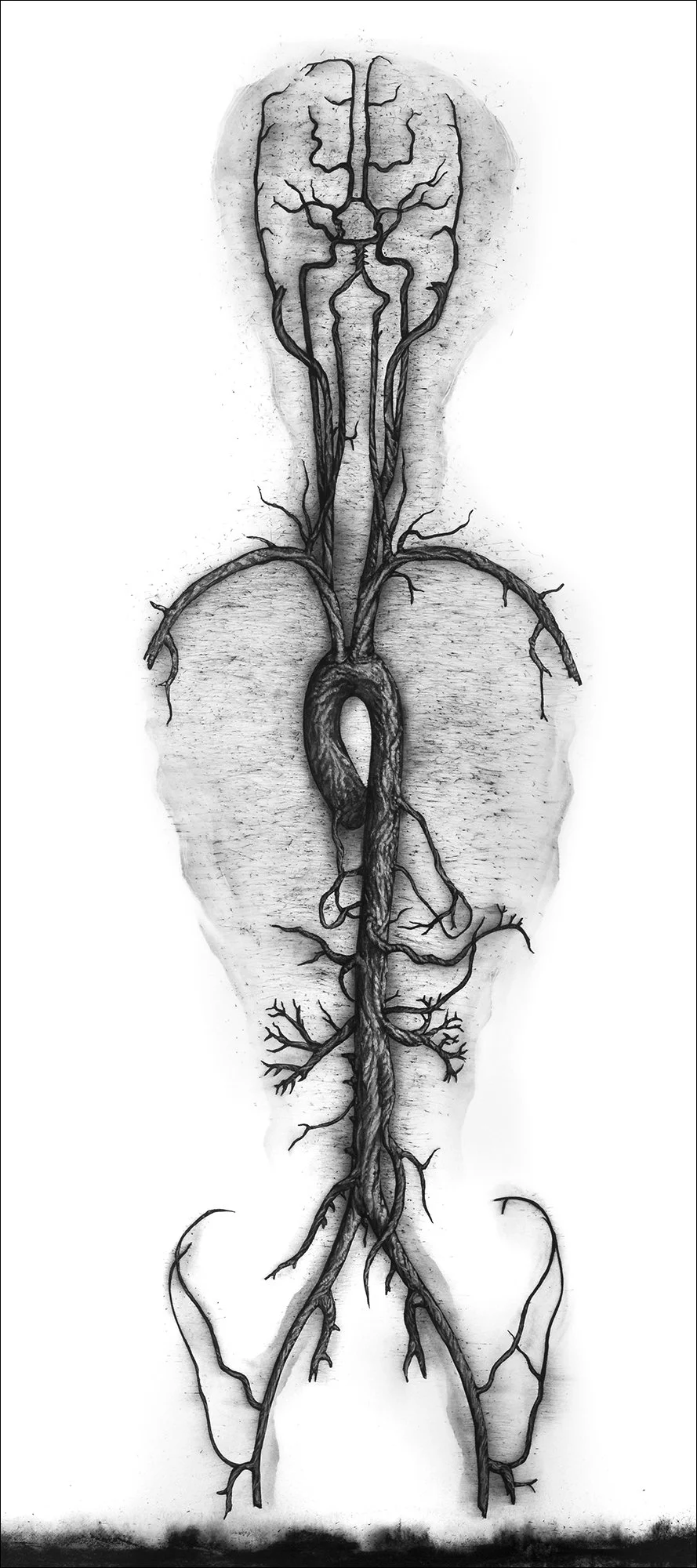 Genus 10, 2001, charcoal and pigment on paper, 72"h x 32"w