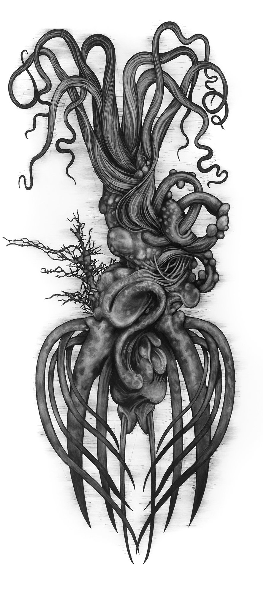 Genus 12, 2019, charcoal and pigmant on paper, 72"h x 32"w