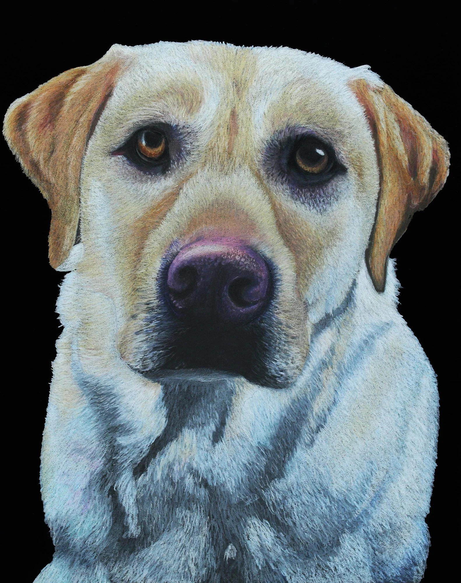 Close-up of a Labrador Retriever dog painting with brown eyes and light-colored fur against a black background.