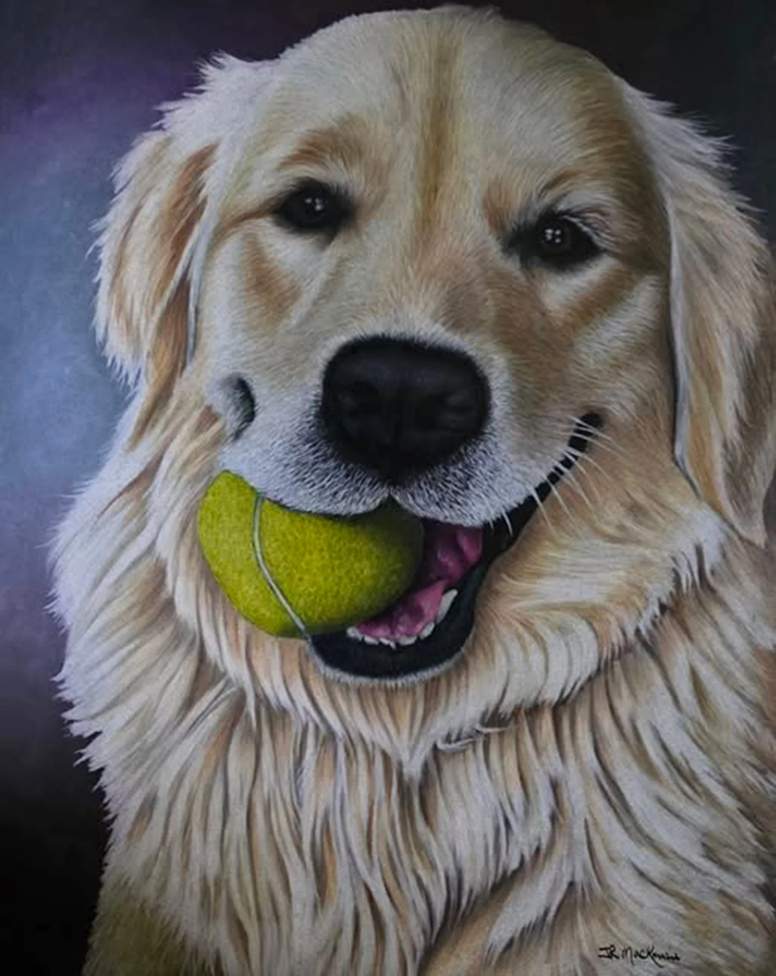 A painting of a golden retriever dog lying on a dark surface with a tennis ball in its mouth, looking directly at the viewer.