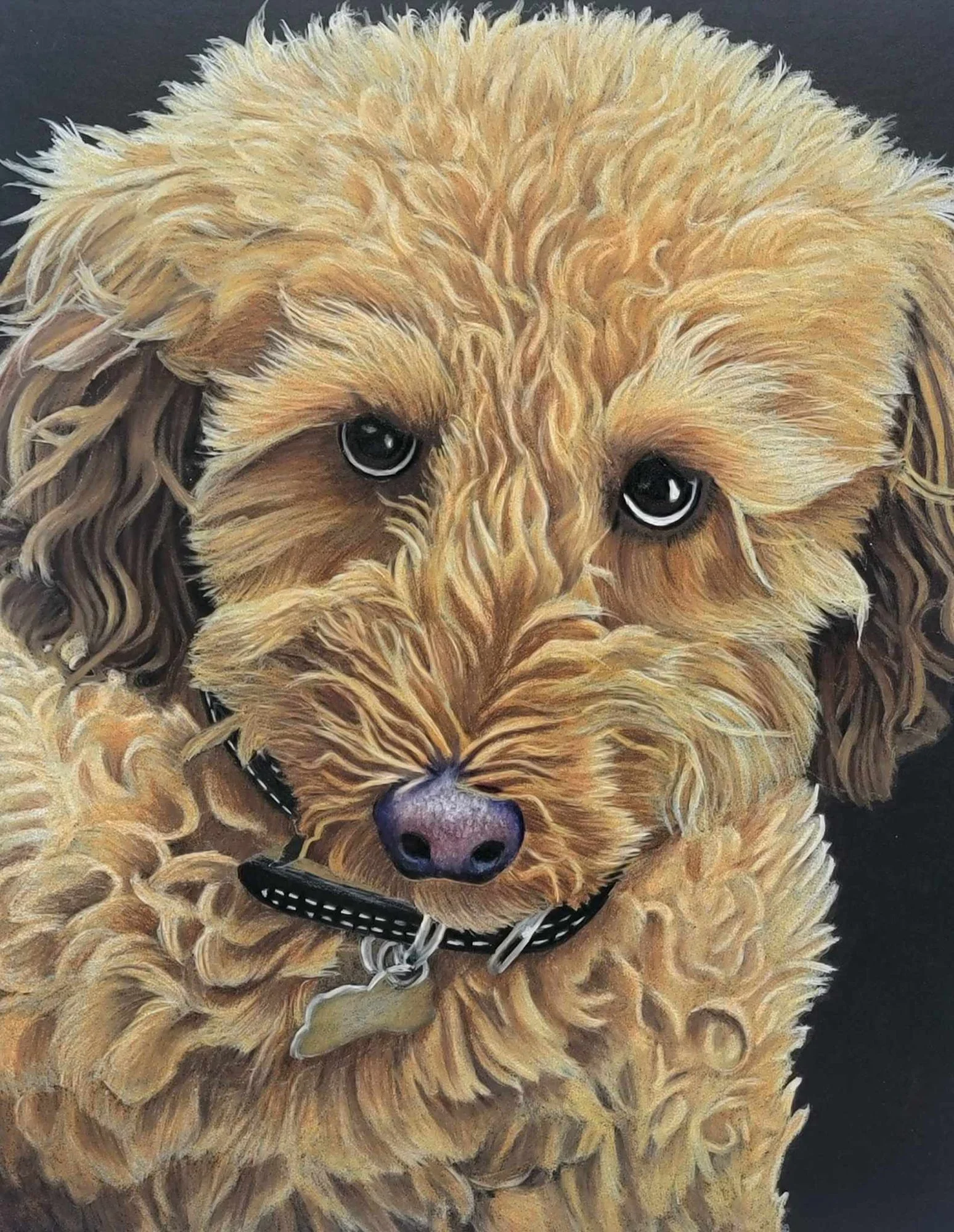 A painting of a fluffy, light-colored dog with black eyes, a dark nose, and a black collar against a dark background.