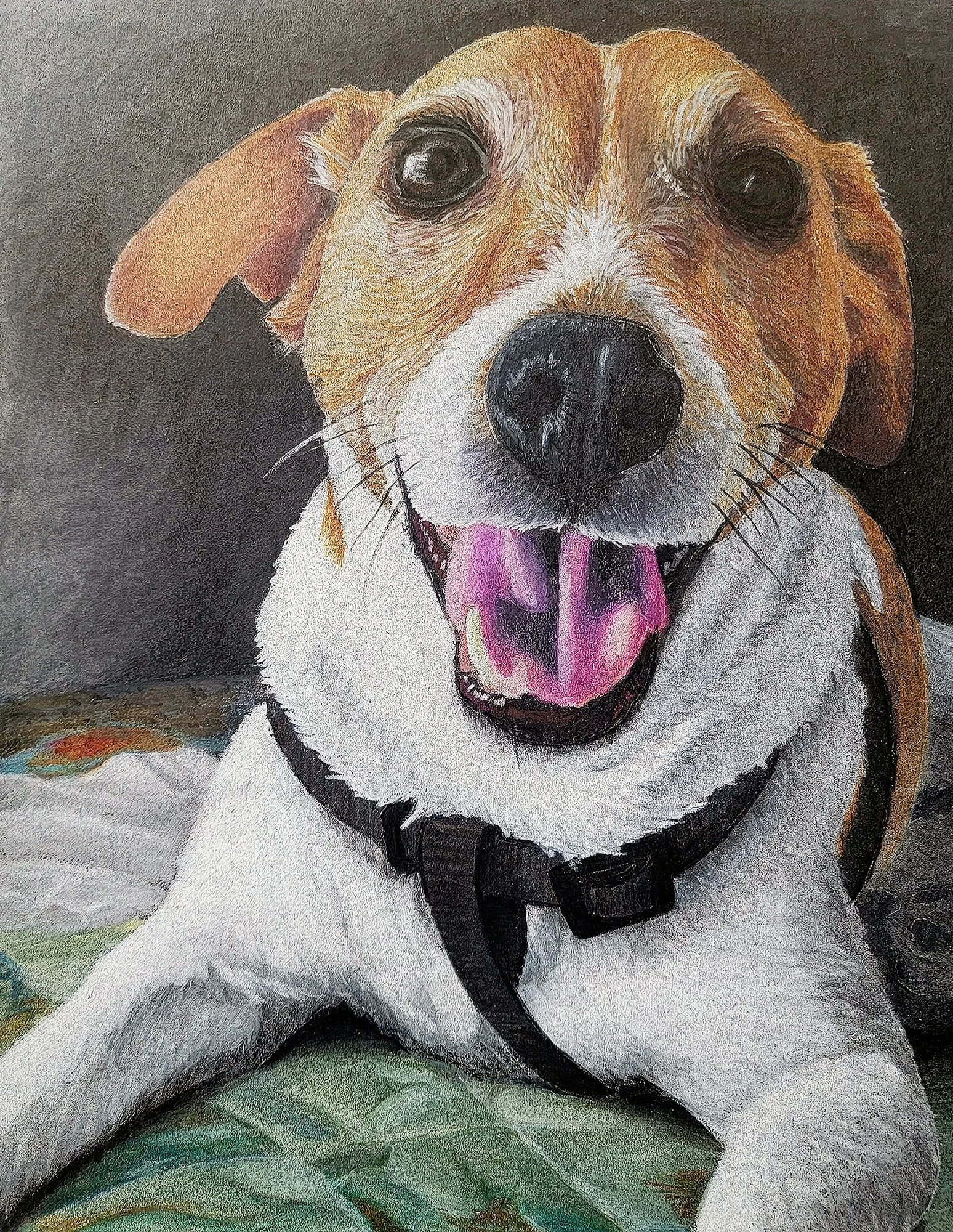Close-up of a happy dog with its tongue out, sitting on a green fabric. The dog has a brown and white coat, with a black collar, and is looking at the camera.