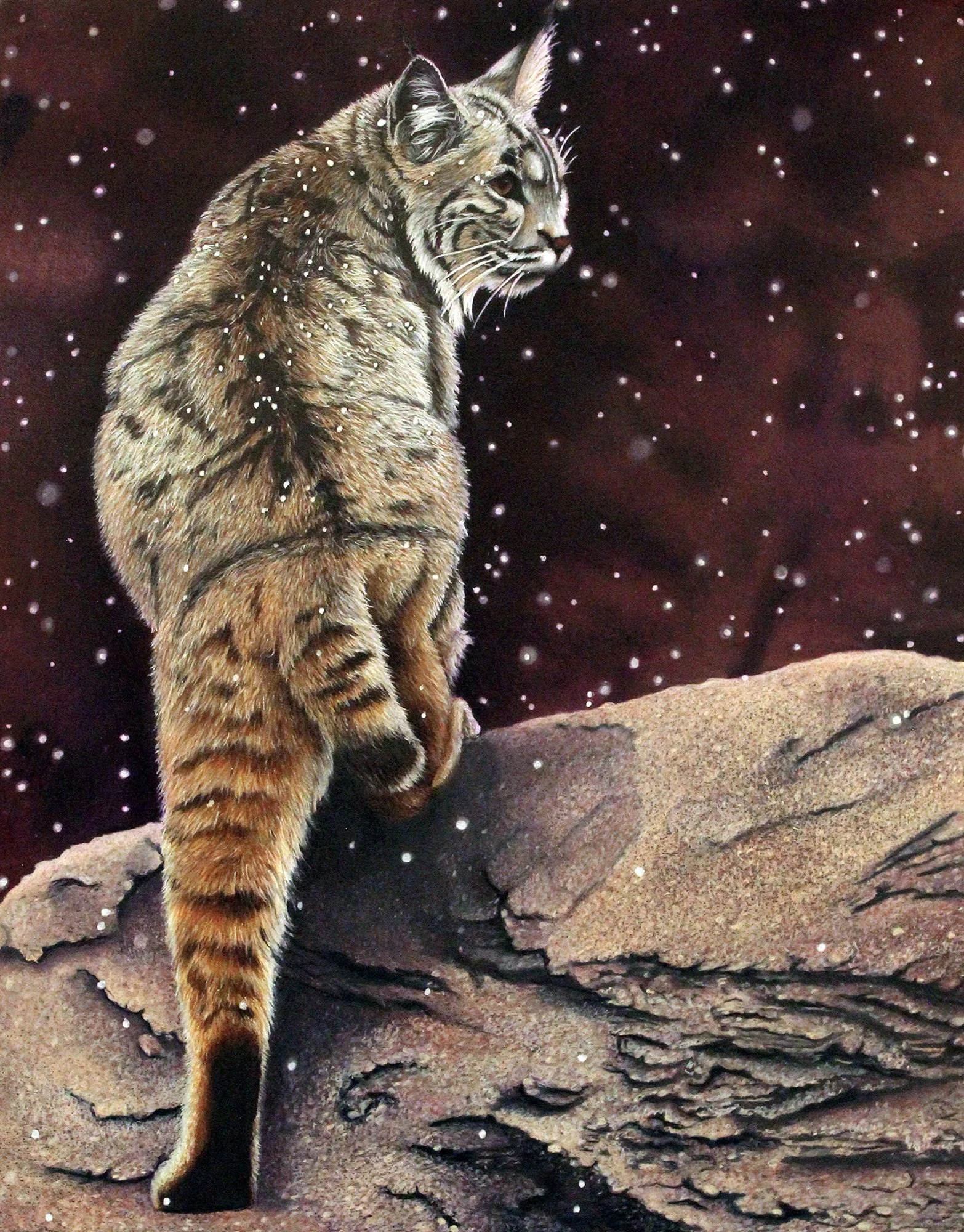A realistic depiction of a tiger walking on rocky terrain with a starry night sky in the background.