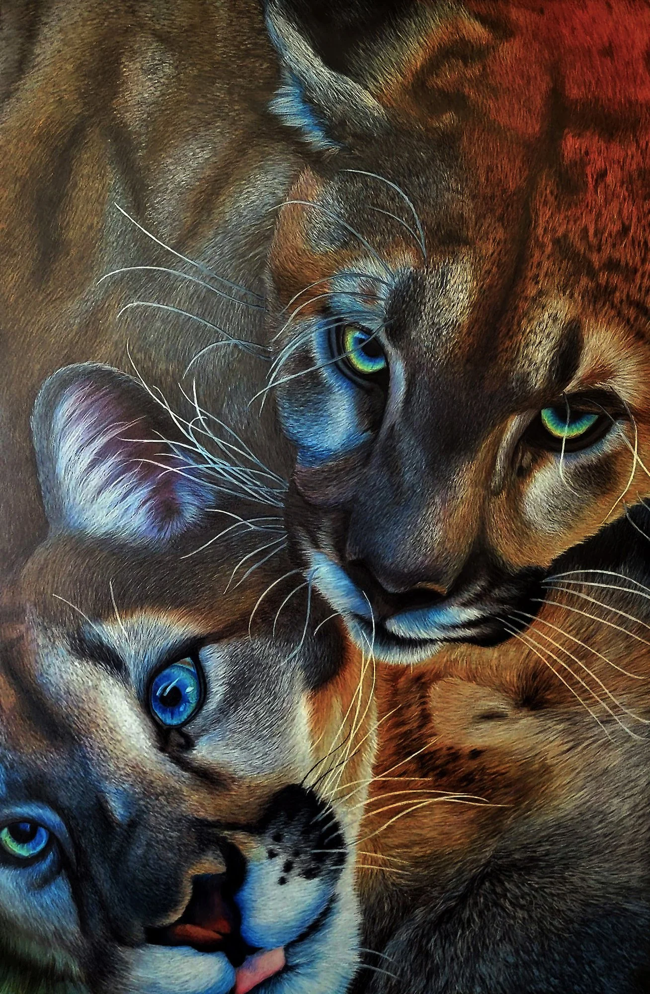 Close-up of two cats with bright blue eyes, one with a gray and black striped coat and the other with a brown and black coat, curled together.