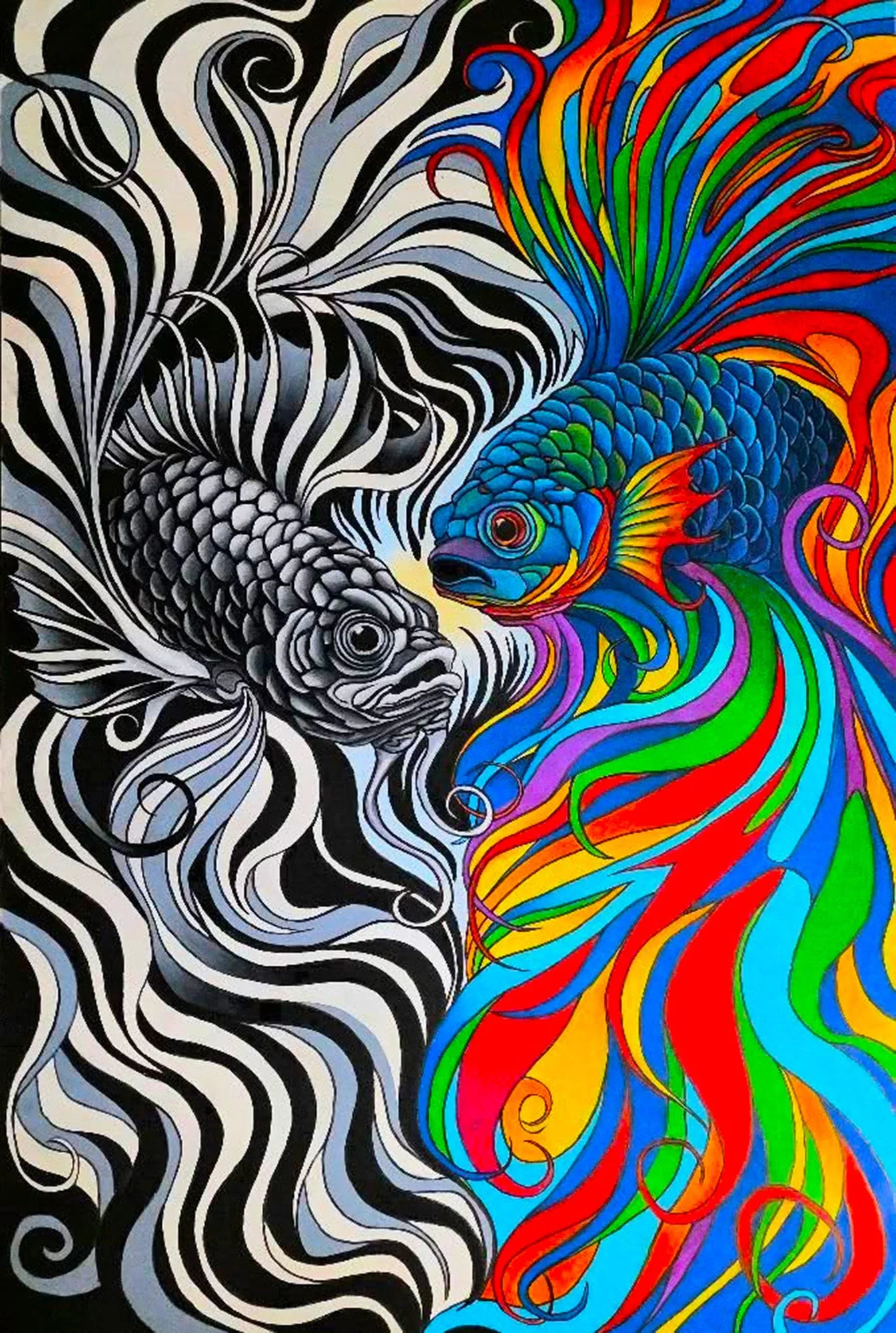 Colorful artistic illustration of two fish with flowing fins, one in black and white and the other in bright rainbow colors, swimming against swirling, wavy backgrounds.