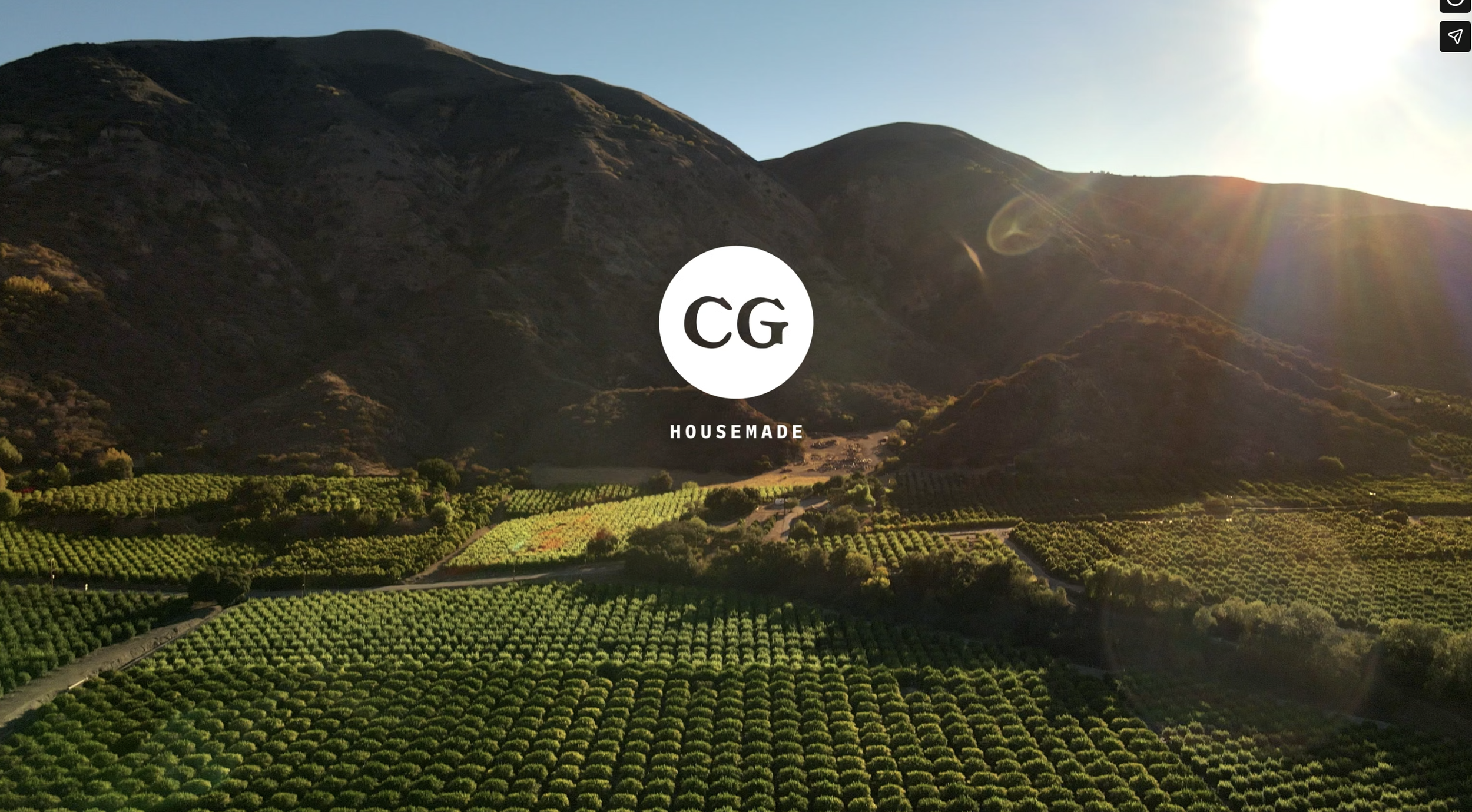 Cafe Gratitude - Social Media Ad