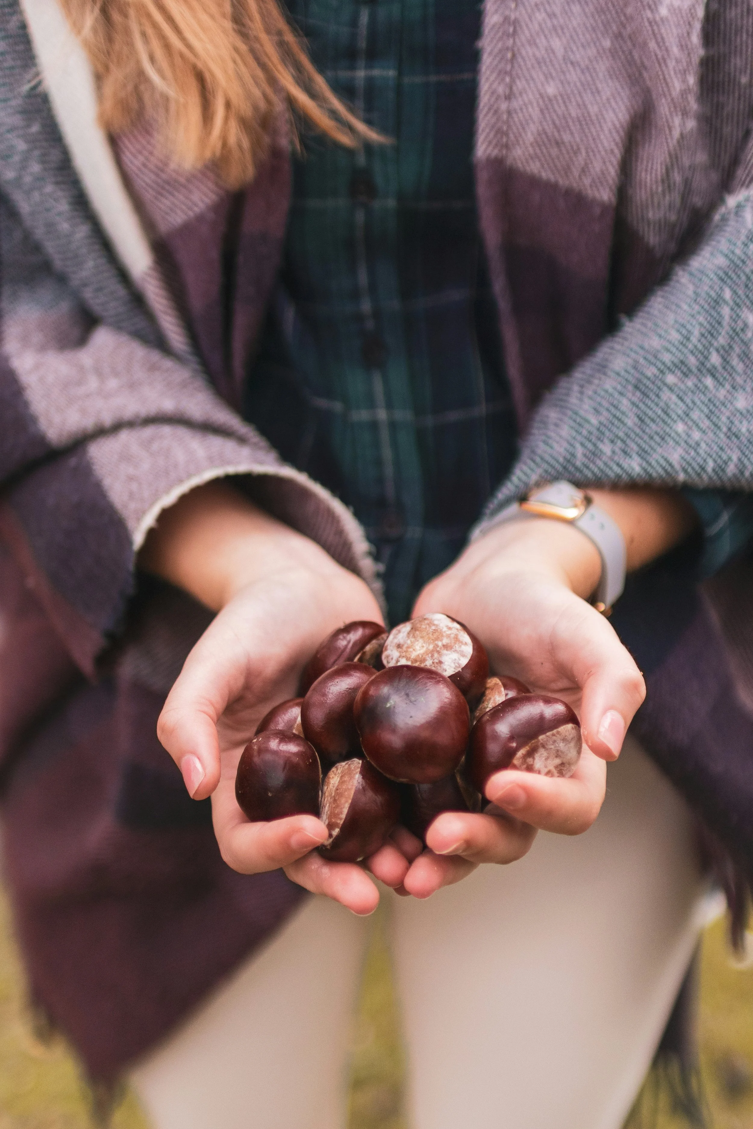 Chestnuts 2.jpg