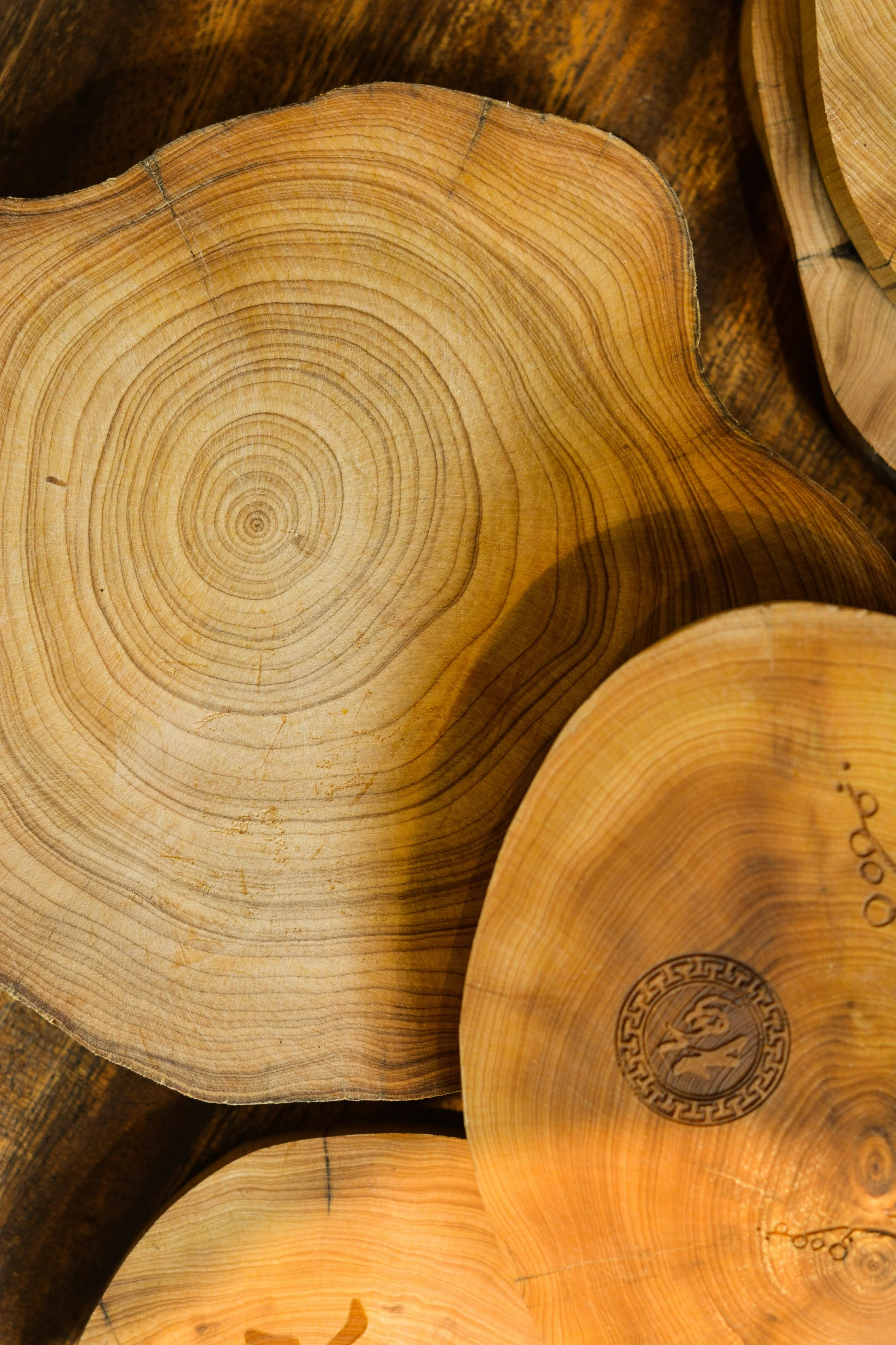 Basswood Tree - For Carving.jpg