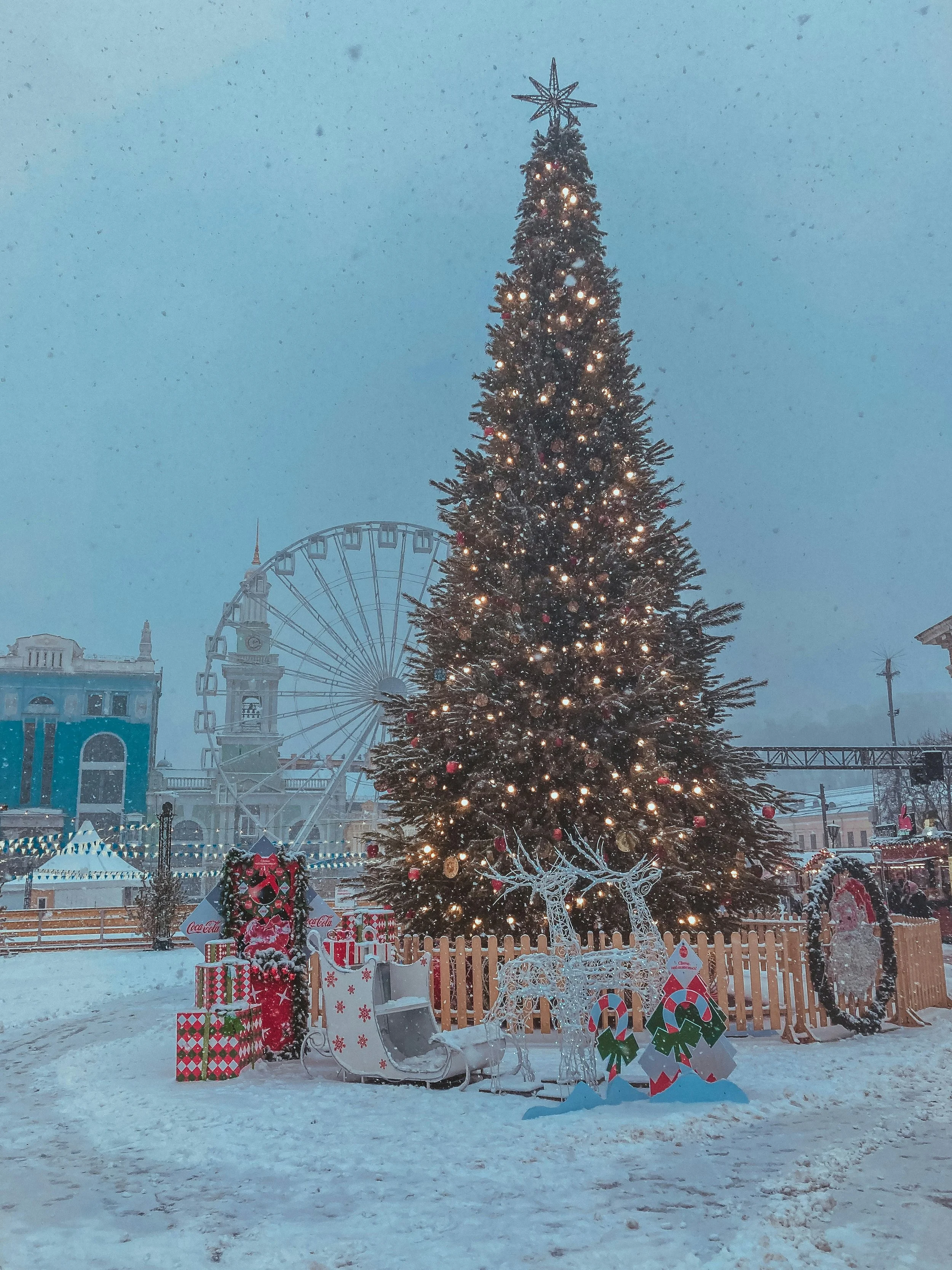 White Spruce - Holiday Ornamental.jpg