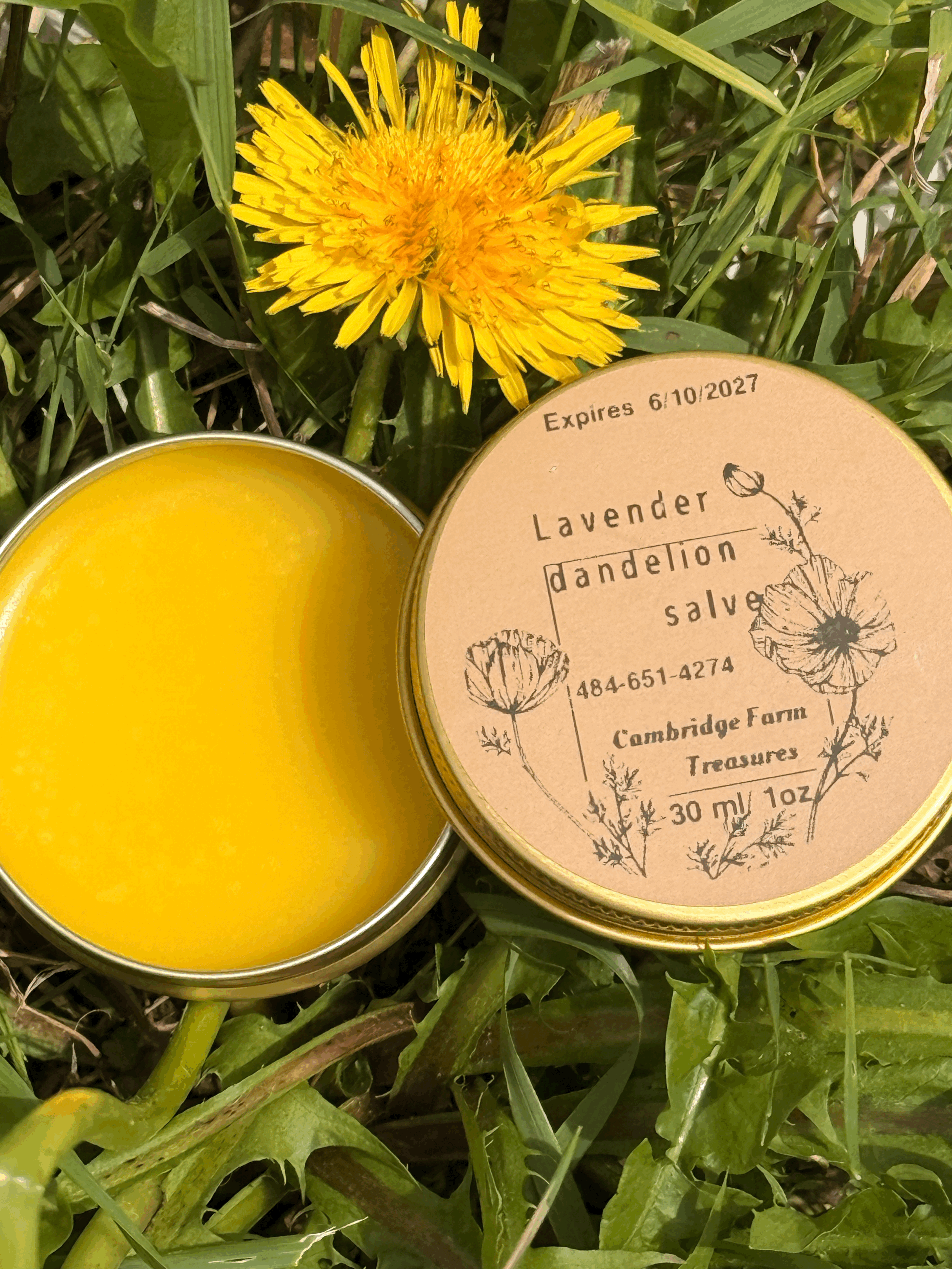 Lavender Dandelion Salve