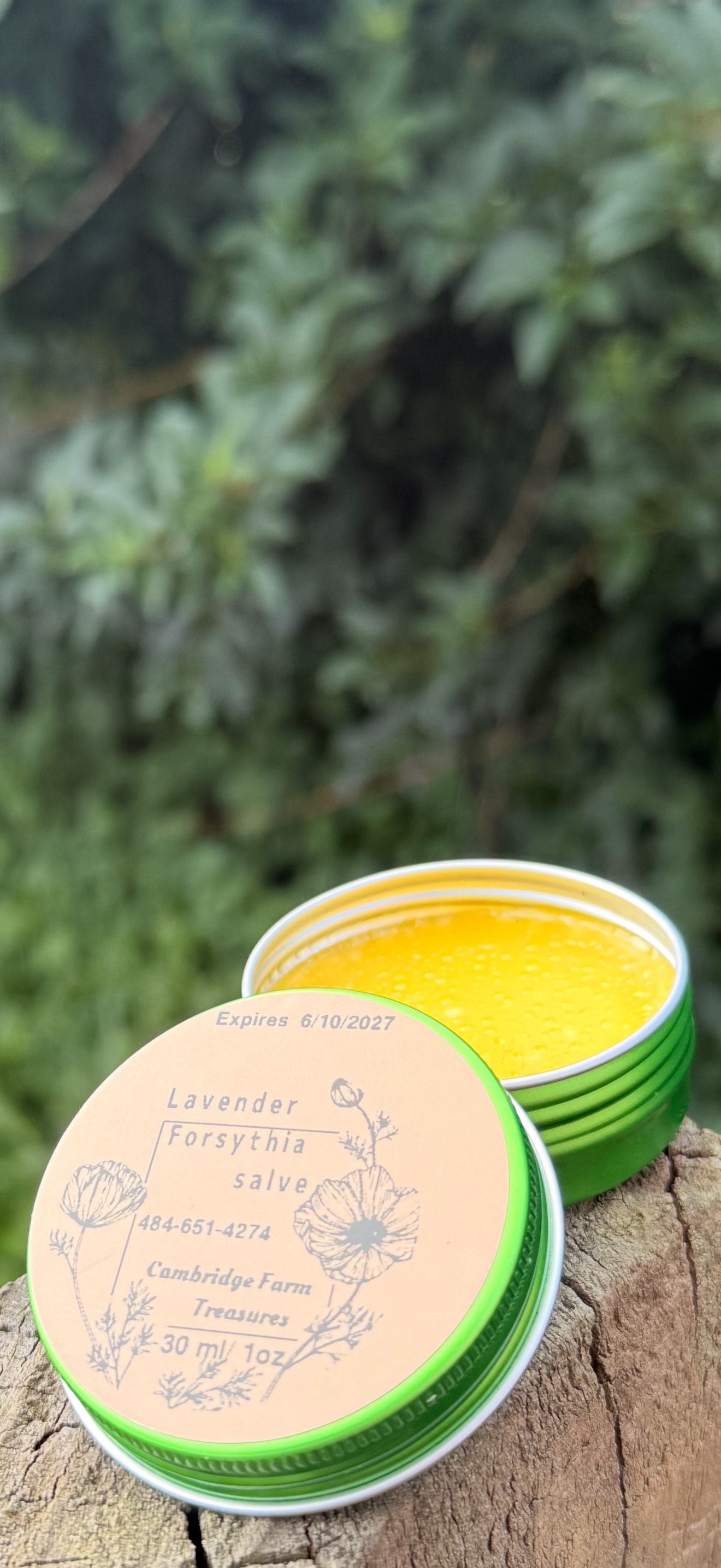 Lavender Forsythia Salve