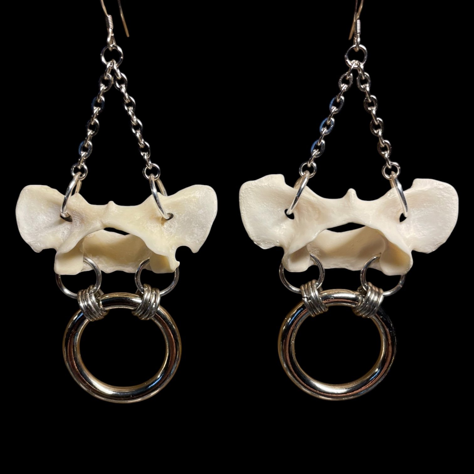 Bull Ring Fox Vertebrae Earrings