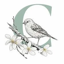 Un gorrión posado en una rama con flores blancas y la letra 'G' de fondo.