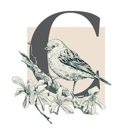 Dibujo de un gorrión sobre una rama con flores, con letra 'C' en el fondo.