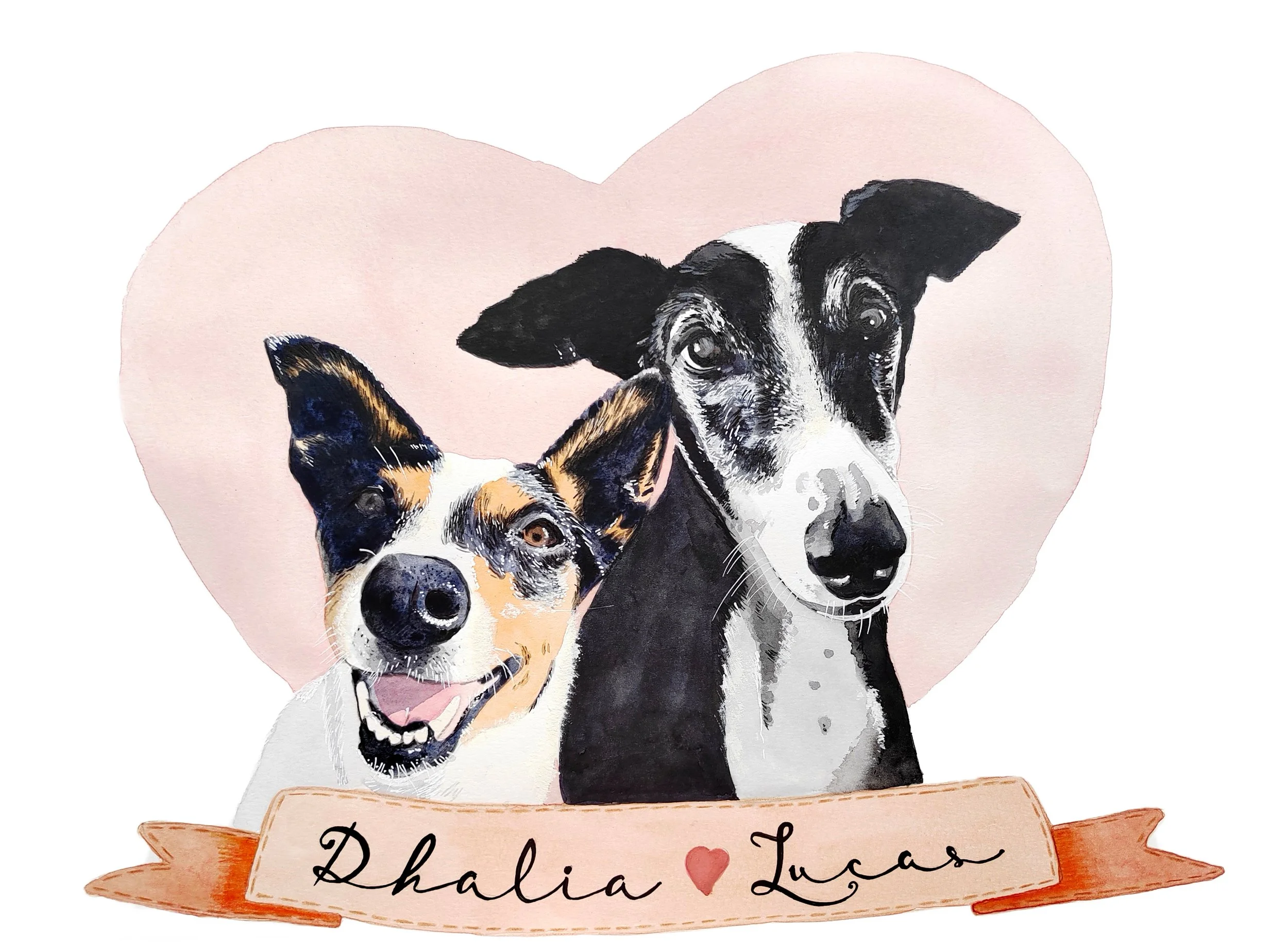 Dibujo de dos perros, uno con pelaje negro y blanco, y otro con pelaje tricolor, en un corazón rosa; en la parte inferior, una cinta con el texto 'Dhalia Lucas' y un corazón.