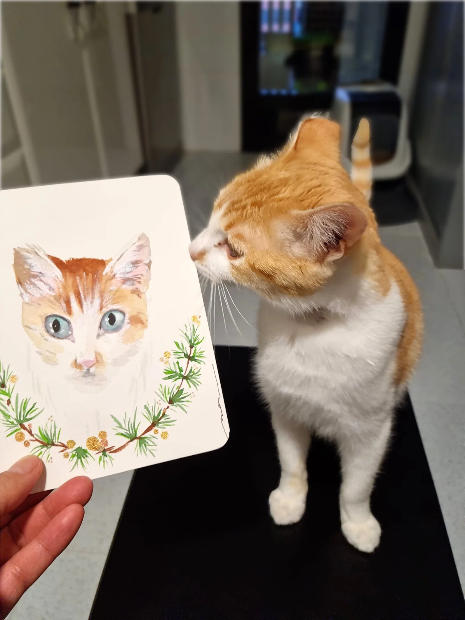 Un gato anaranjado y blanco está mirando una ilustración de un gato en una tarjeta que tiene ramas decorativas con hojas verdes y pequeños frutos dorados.
