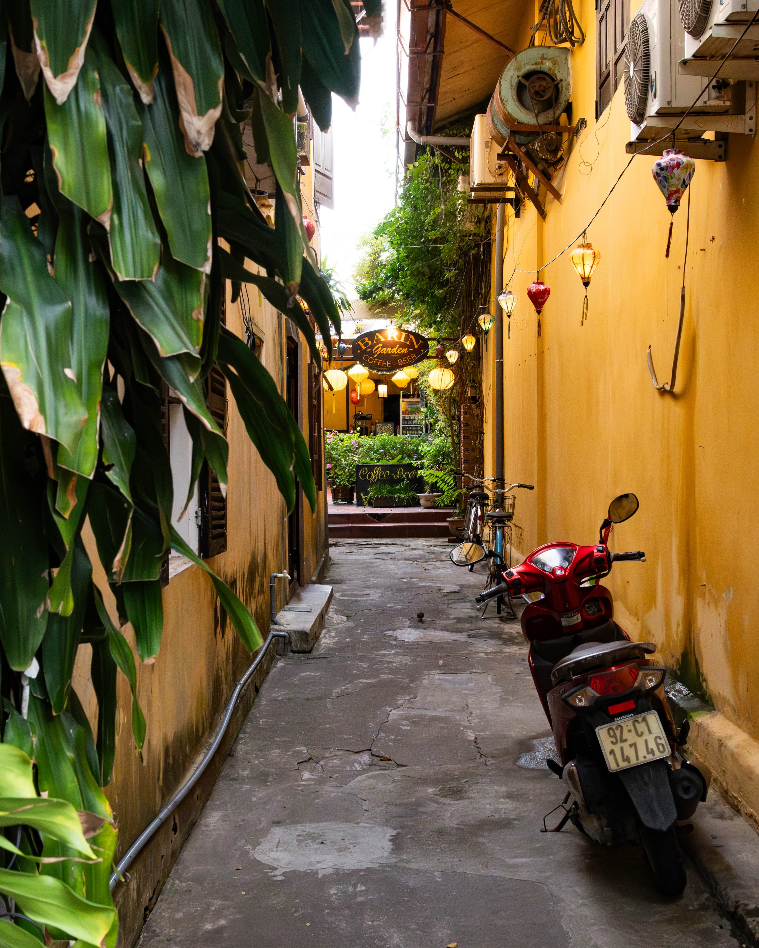 2025_Vietnam-7.jpg