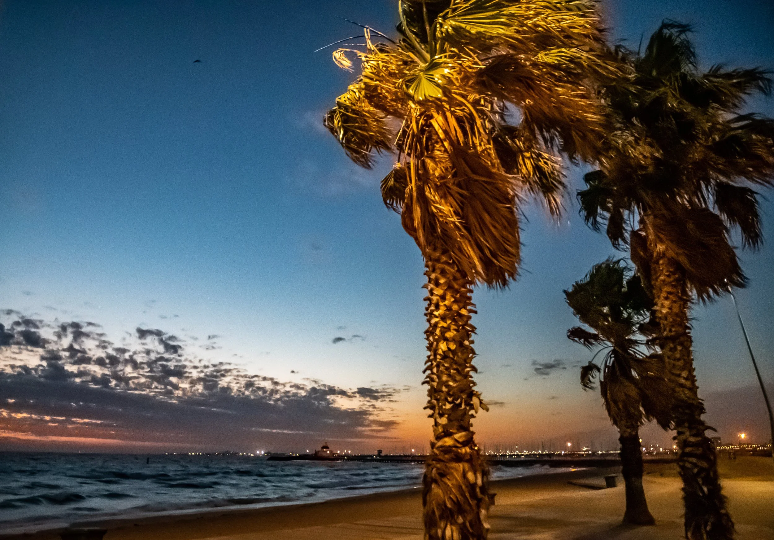 2023 Portfolio - TRAVELS-12.jpg