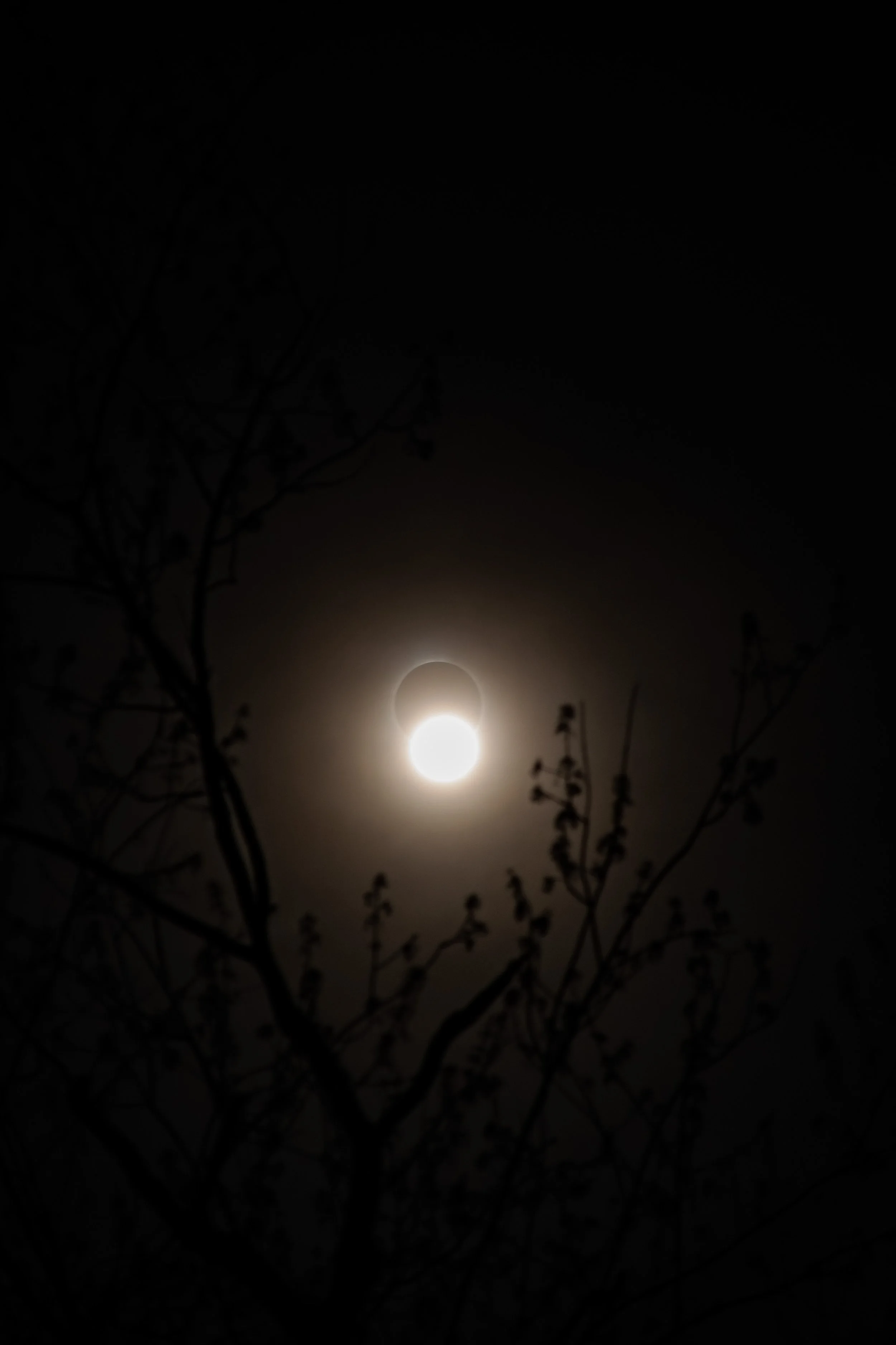Eclipse 4.08.2024-3.jpg