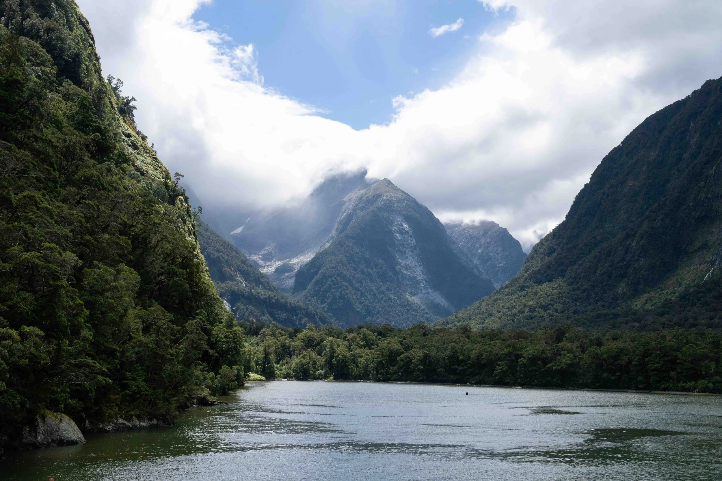 An area in Milford Sound, New Zealand, surrounded by lush green mountains with a cloudy sky above.