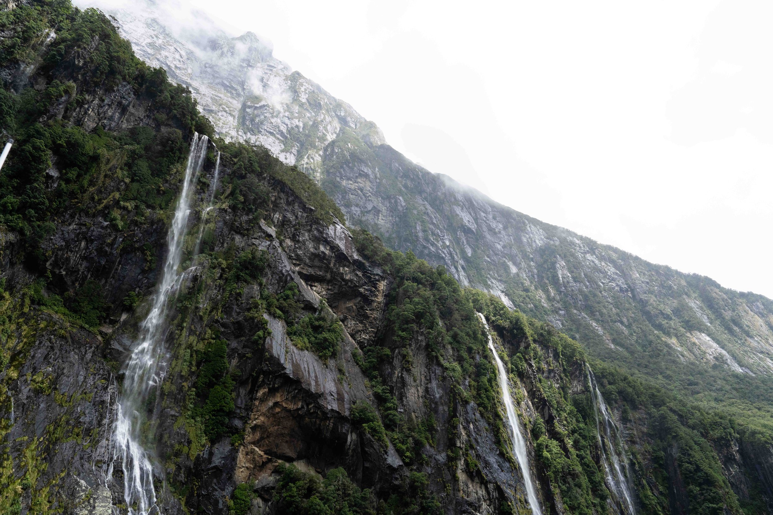 New Zealand's Milford Sound with multiple waterfalls cascading down steep cliffs, lush green vegetation covering the rock face, mist and clouds surrounding mountain peaks.