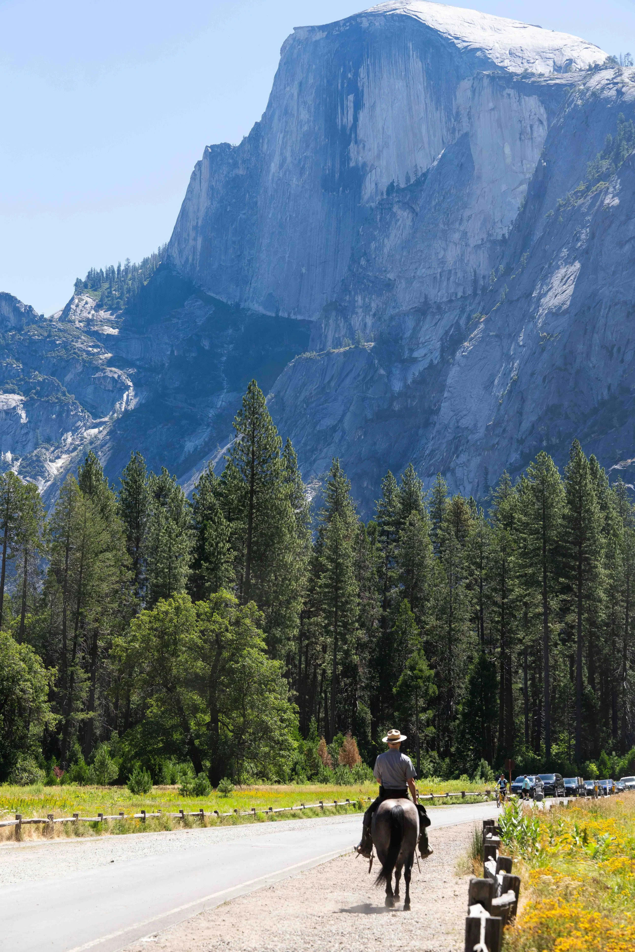 A park ranger in Yosemite riding a horse along a paved path in a lush forest with a backdrop of tall granite mountains, some topped with snow, under a clear blue sky.